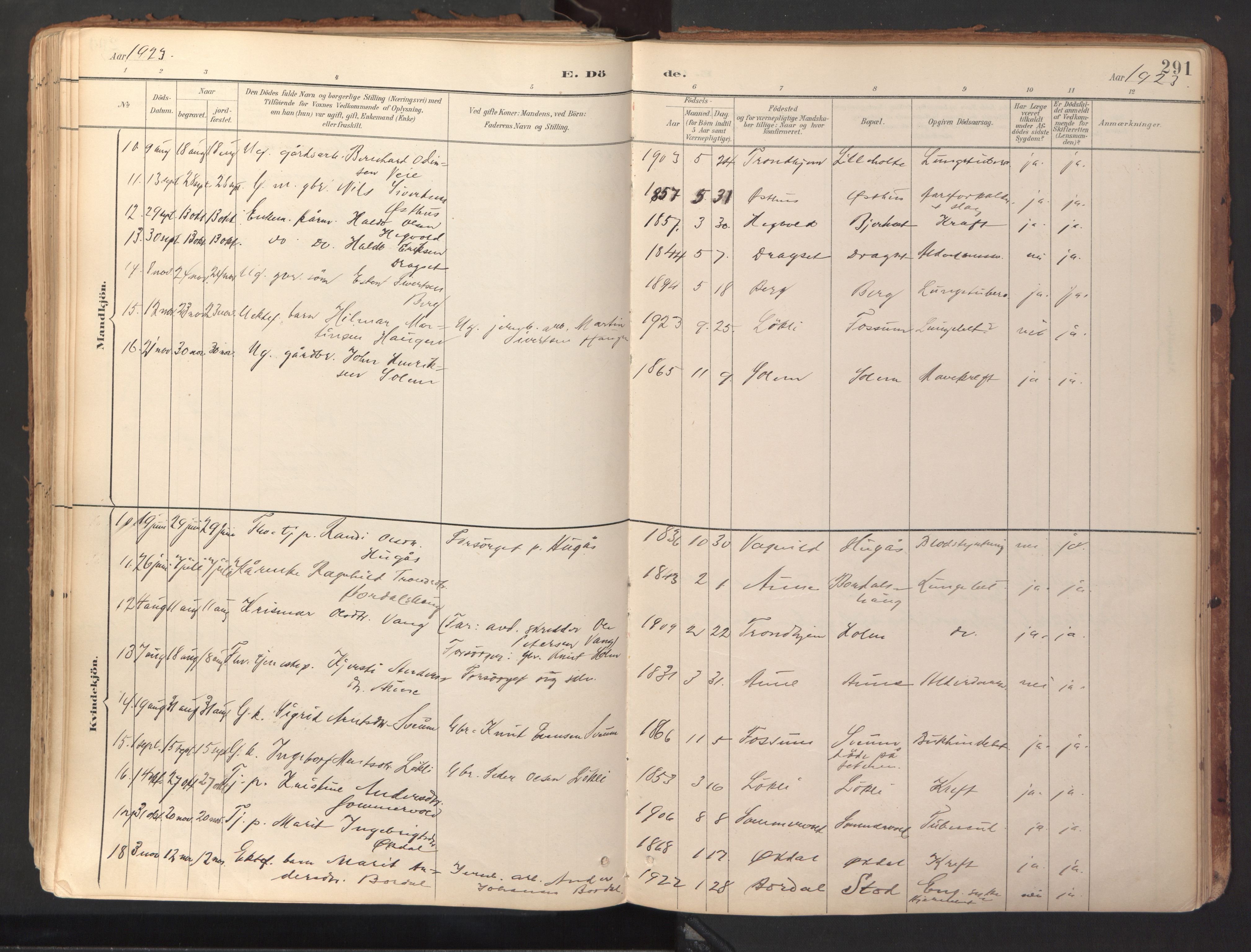 Ministerialprotokoller, klokkerbøker og fødselsregistre - Sør-Trøndelag, SAT/A-1456/689/L1041: Parish register (official) no. 689A06, 1891-1923, p. 291