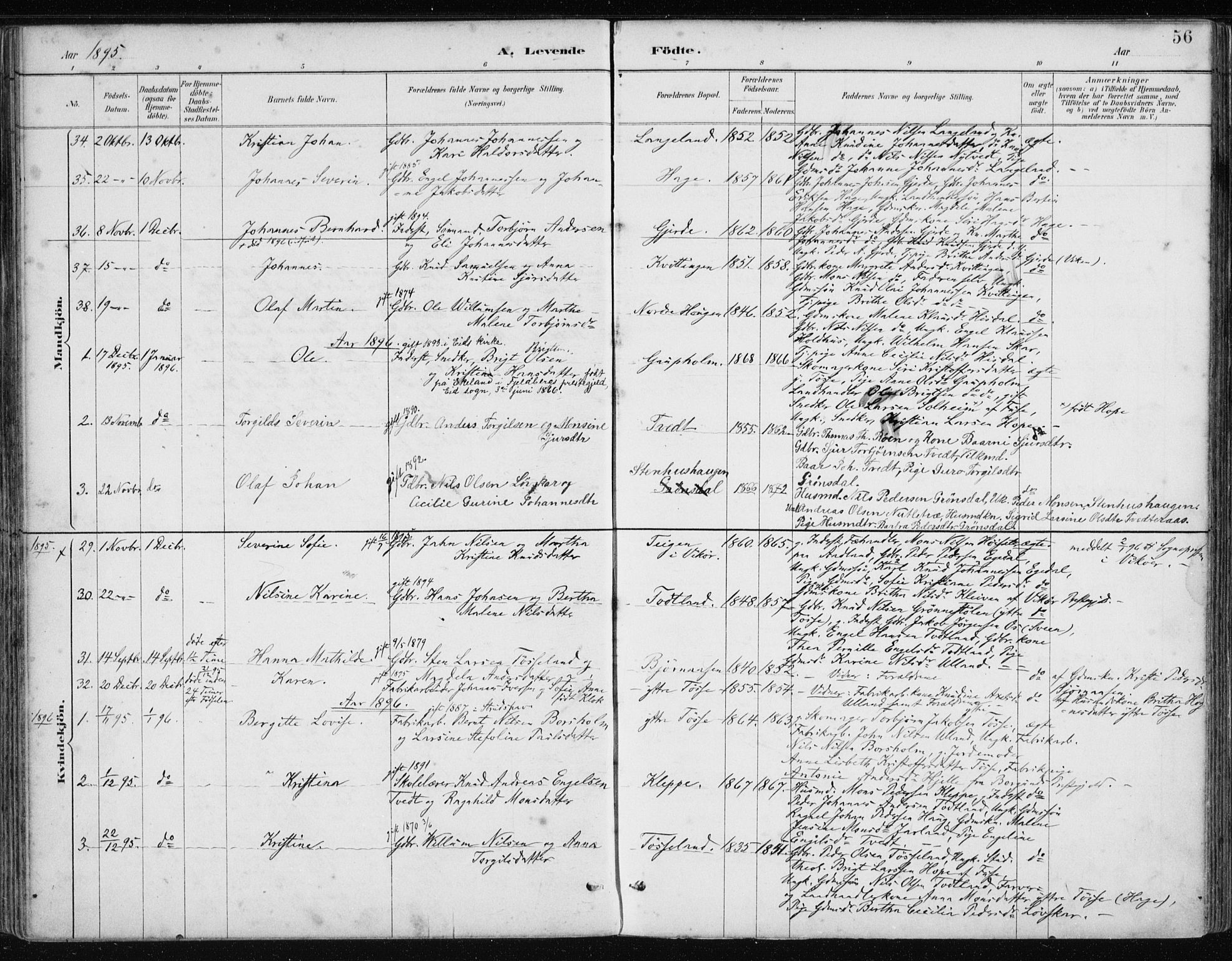 Samnanger Sokneprestembete, AV/SAB-A-77501/H/Haa: Parish register (official) no. A 1, 1885-1901, p. 56