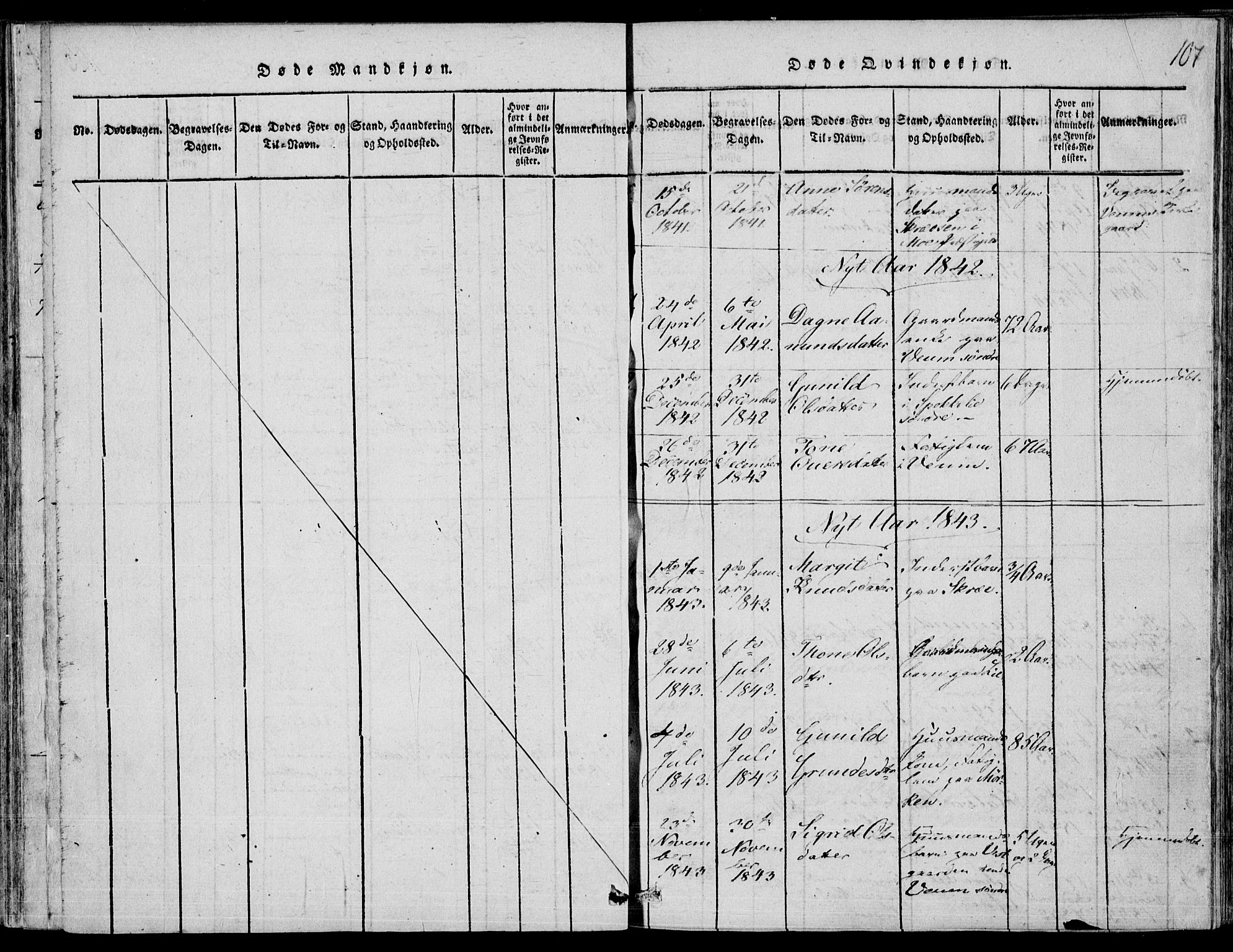 Fyresdal kirkebøker, SAKO/A-263/F/Fb/L0001: Parish register (official) no. II 1, 1815-1854, p. 107