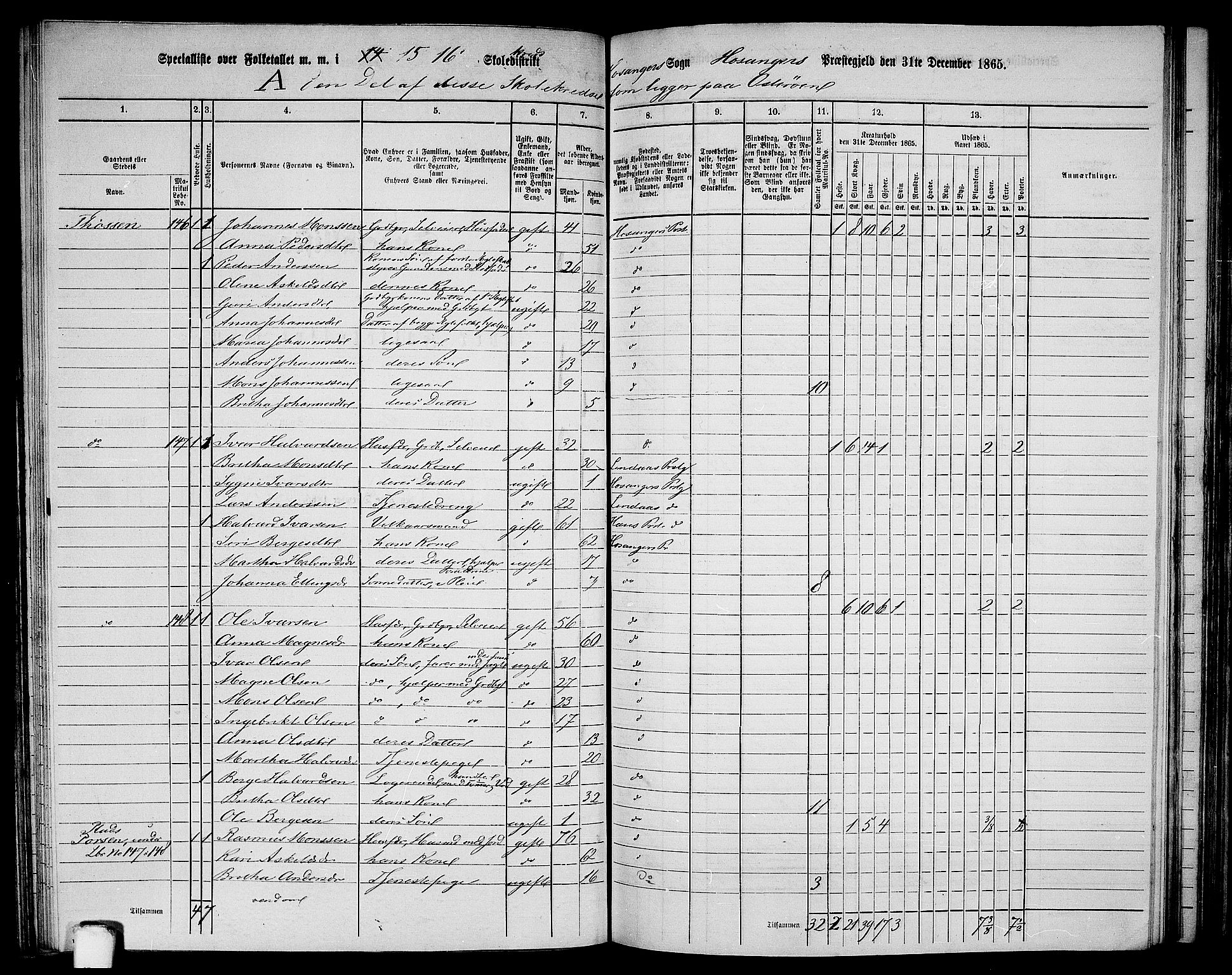 RA, 1865 census for Hosanger, 1865, p. 91