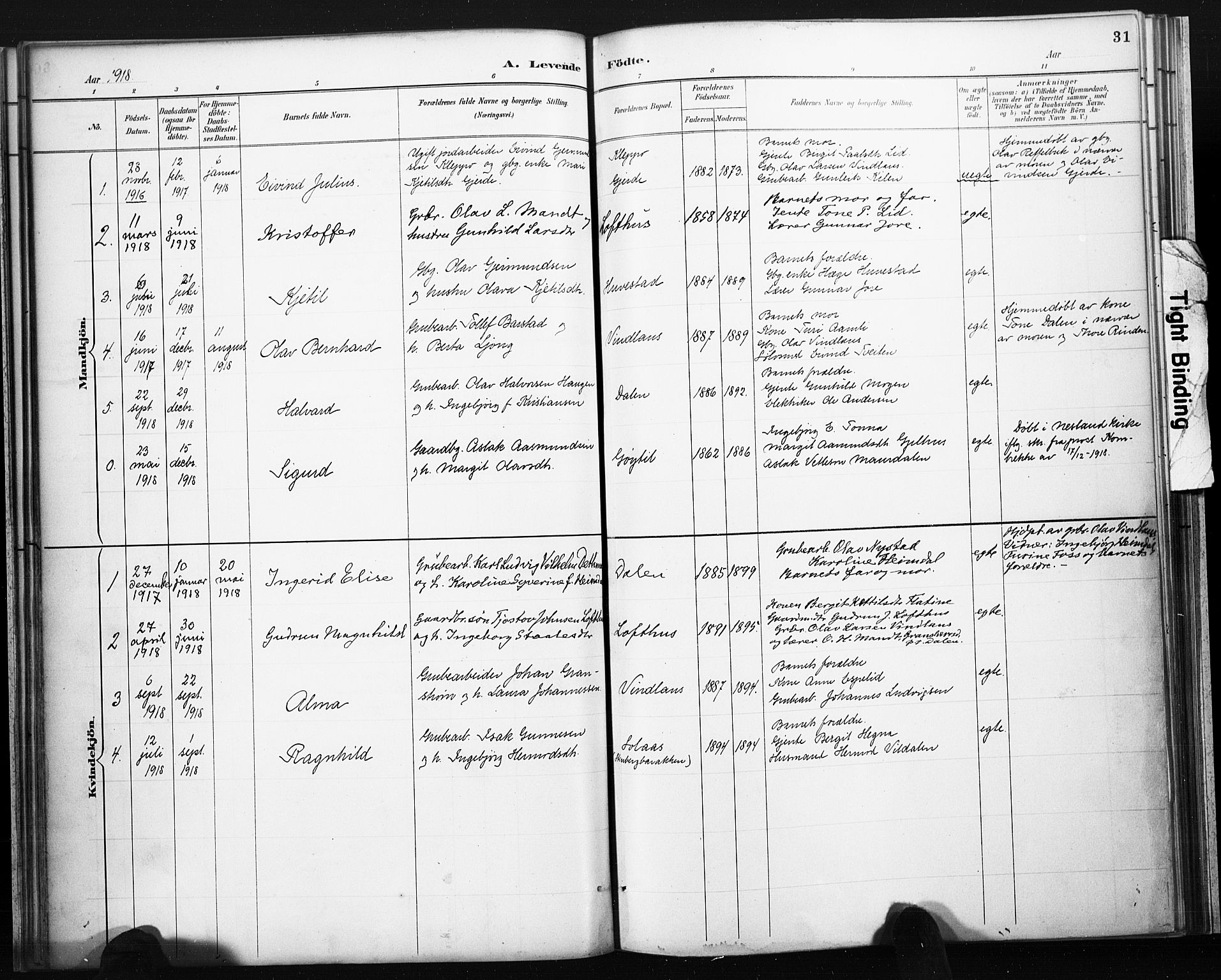 Lårdal kirkebøker, AV/SAKO-A-284/F/Fb/L0002: Parish register (official) no. II 2, 1887-1918, p. 31