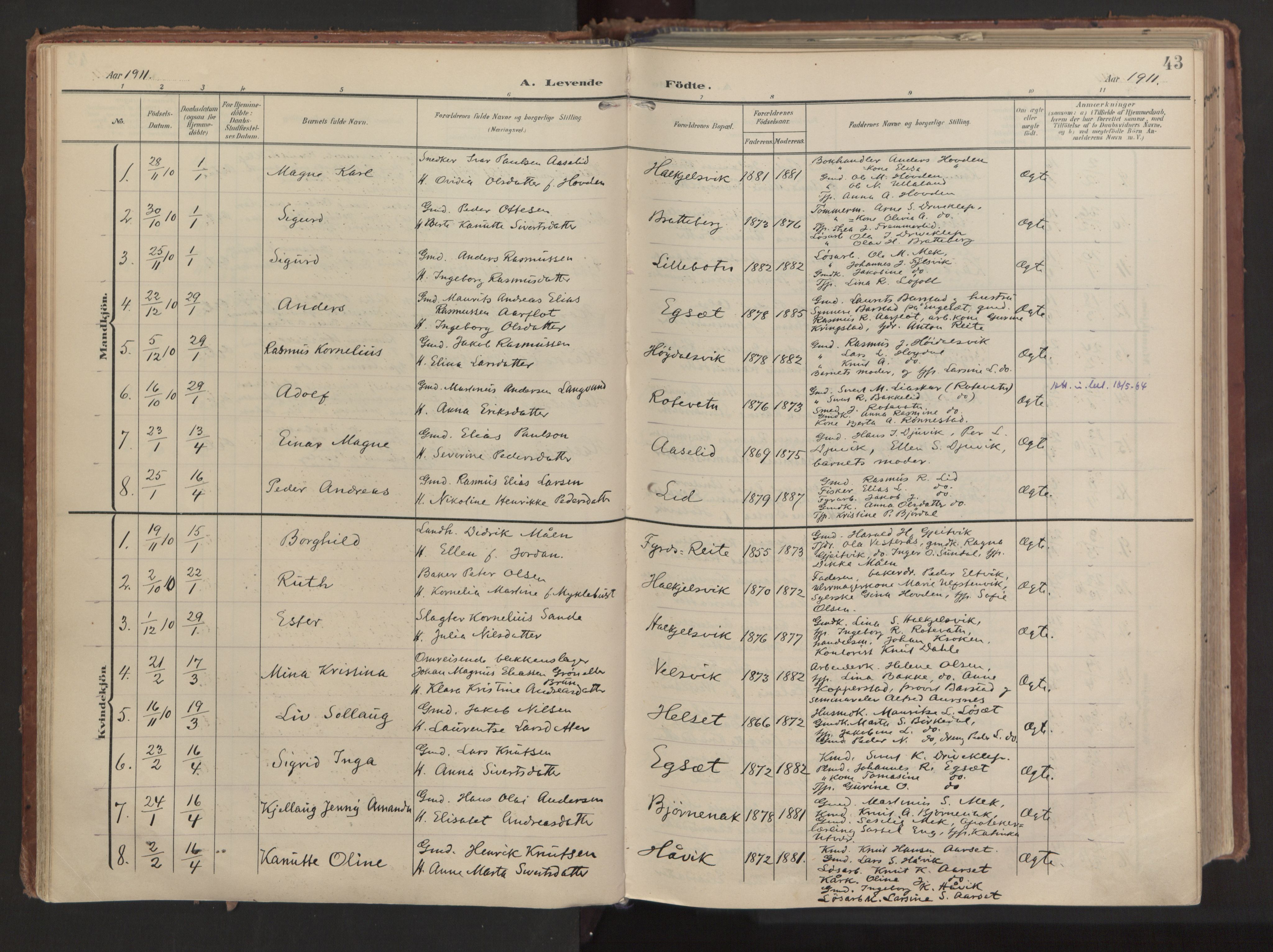 Ministerialprotokoller, klokkerbøker og fødselsregistre - Møre og Romsdal, AV/SAT-A-1454/511/L0144: Parish register (official) no. 511A11, 1906-1923, p. 43