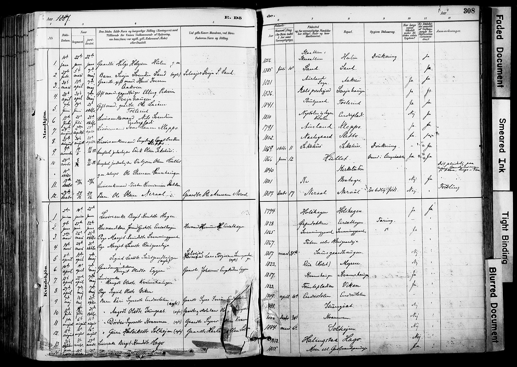 Hol kirkebøker, SAKO/A-227/F/Fa/L0003: Parish register (official) no. I 3, 1887-1918, p. 308