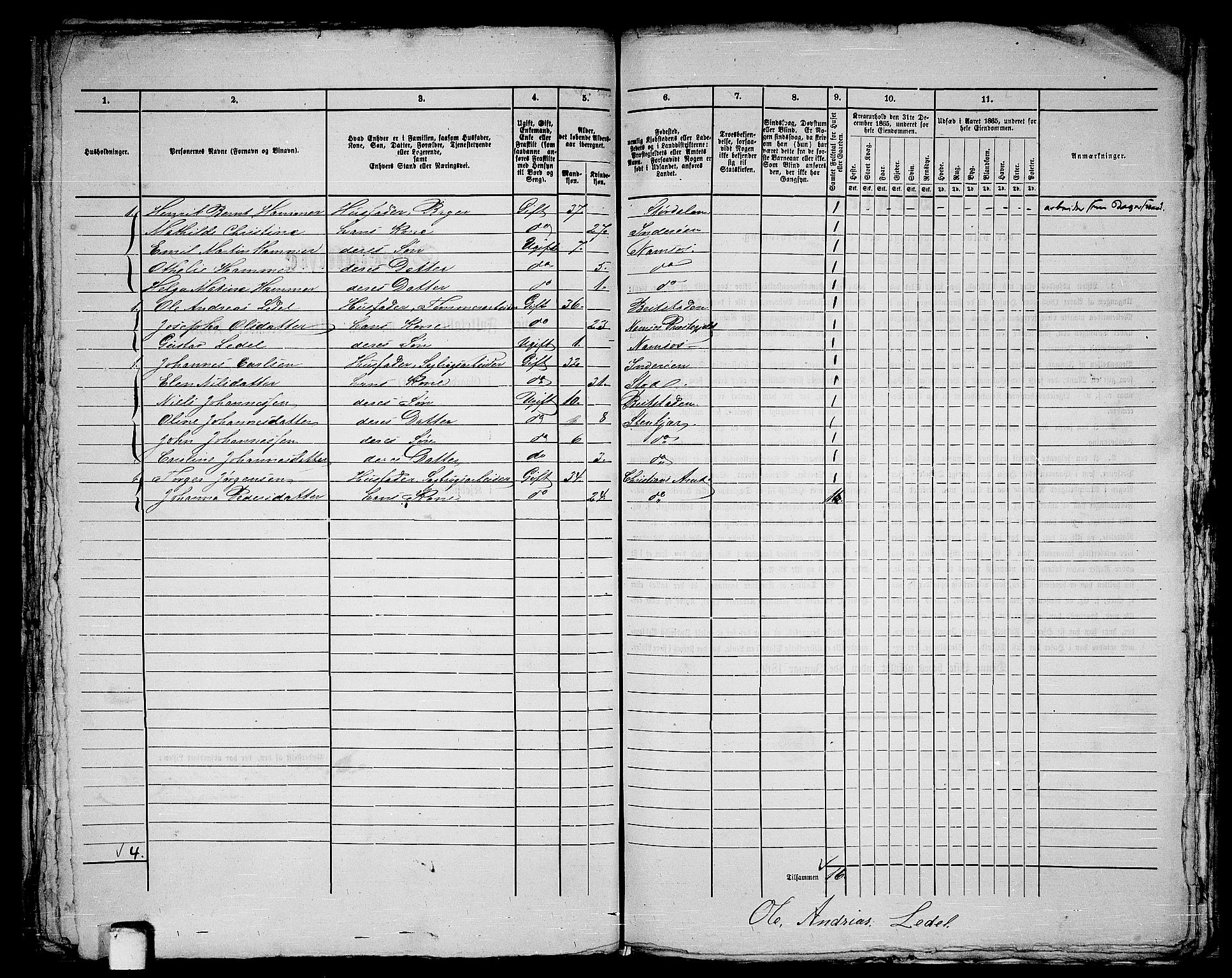 RA, 1865 census for Namsos/Namsos, 1865, p. 119