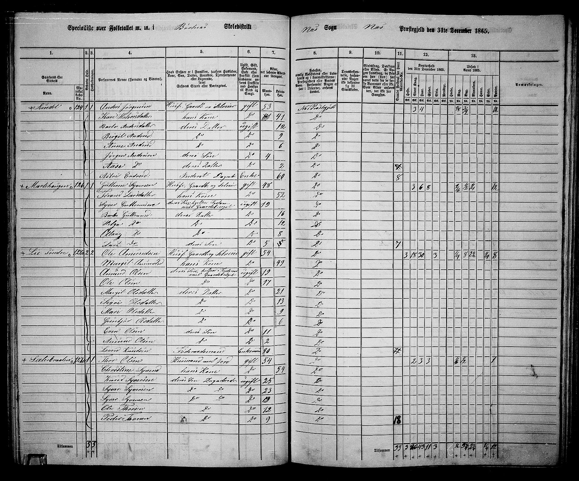 RA, 1865 census for Nes, 1865, p. 107