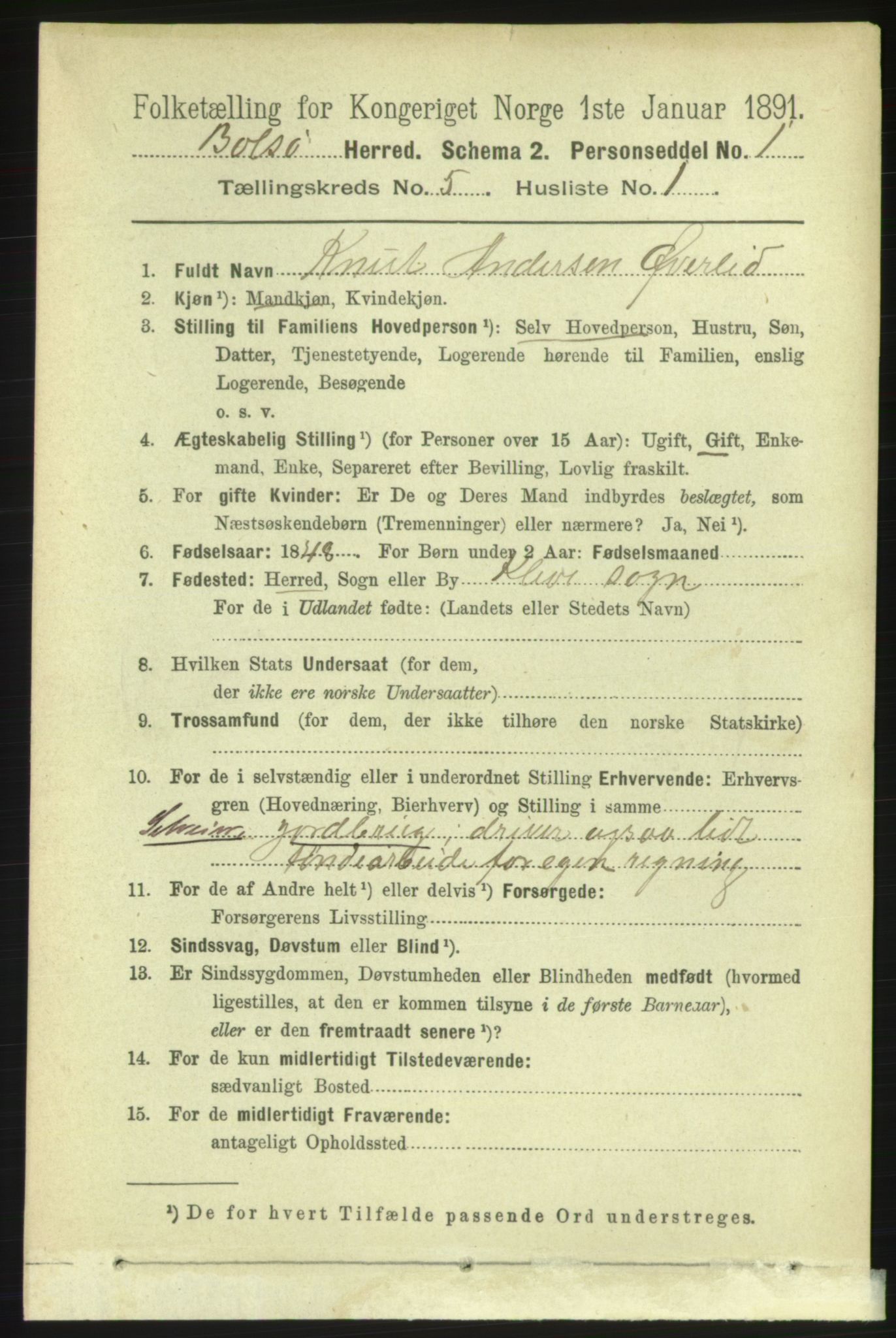 RA, 1891 census for 1544 Bolsøy, 1891, p. 3130