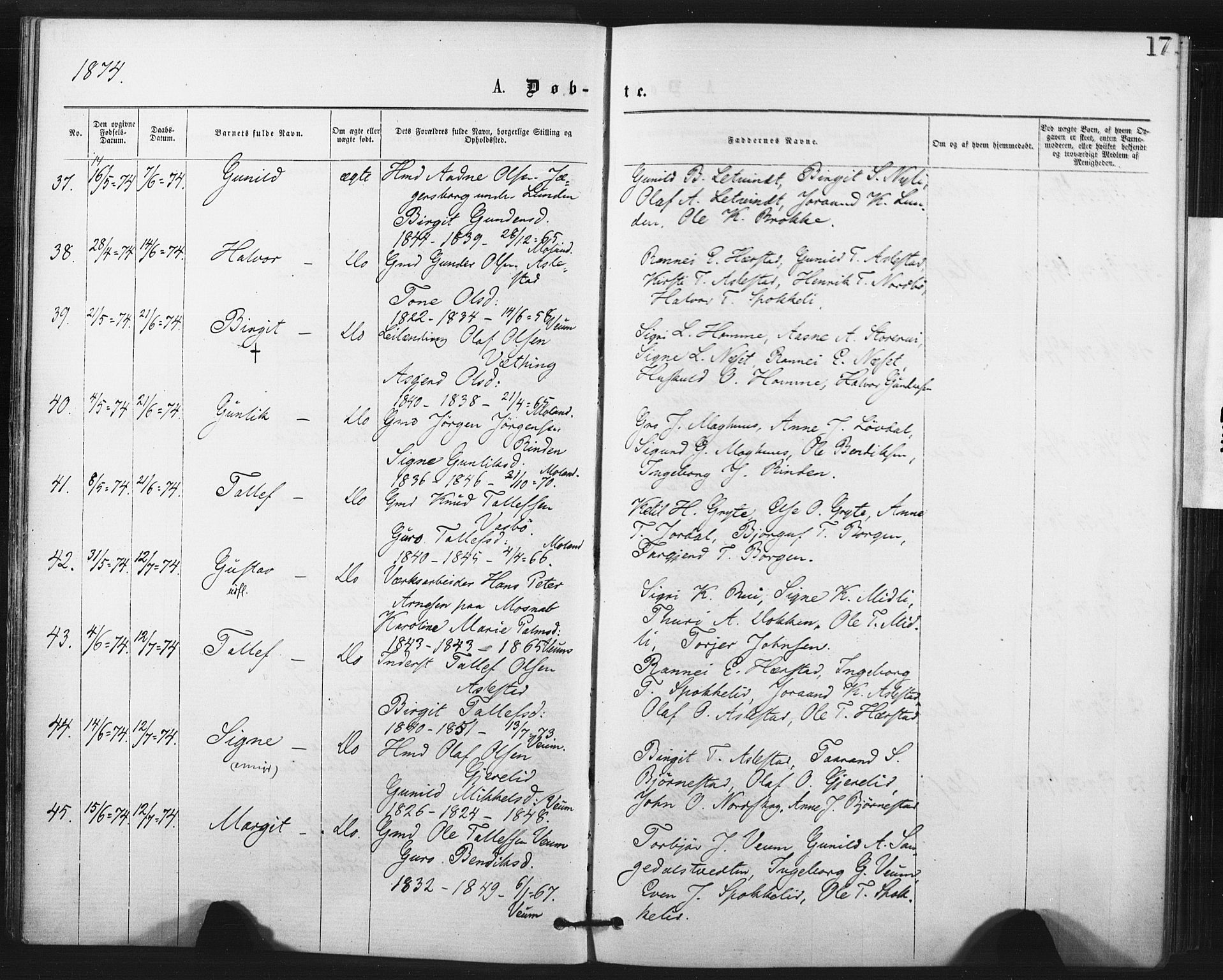 Fyresdal kirkebøker, AV/SAKO-A-263/F/Fa/L0006: Parish register (official) no. I 6, 1872-1886, p. 17