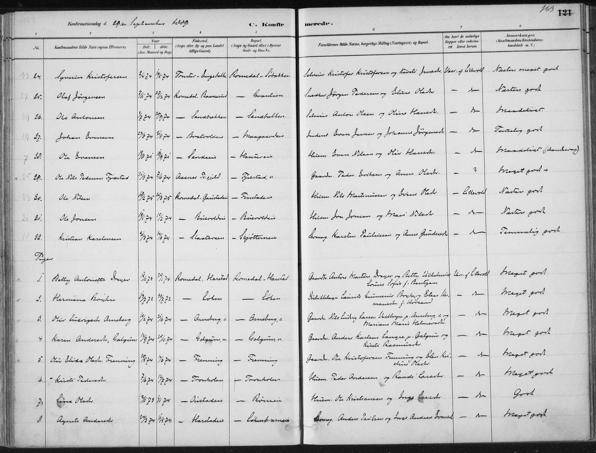 Romedal prestekontor, AV/SAH-PREST-004/K/L0010: Parish register (official) no. 10, 1880-1895, p. 163