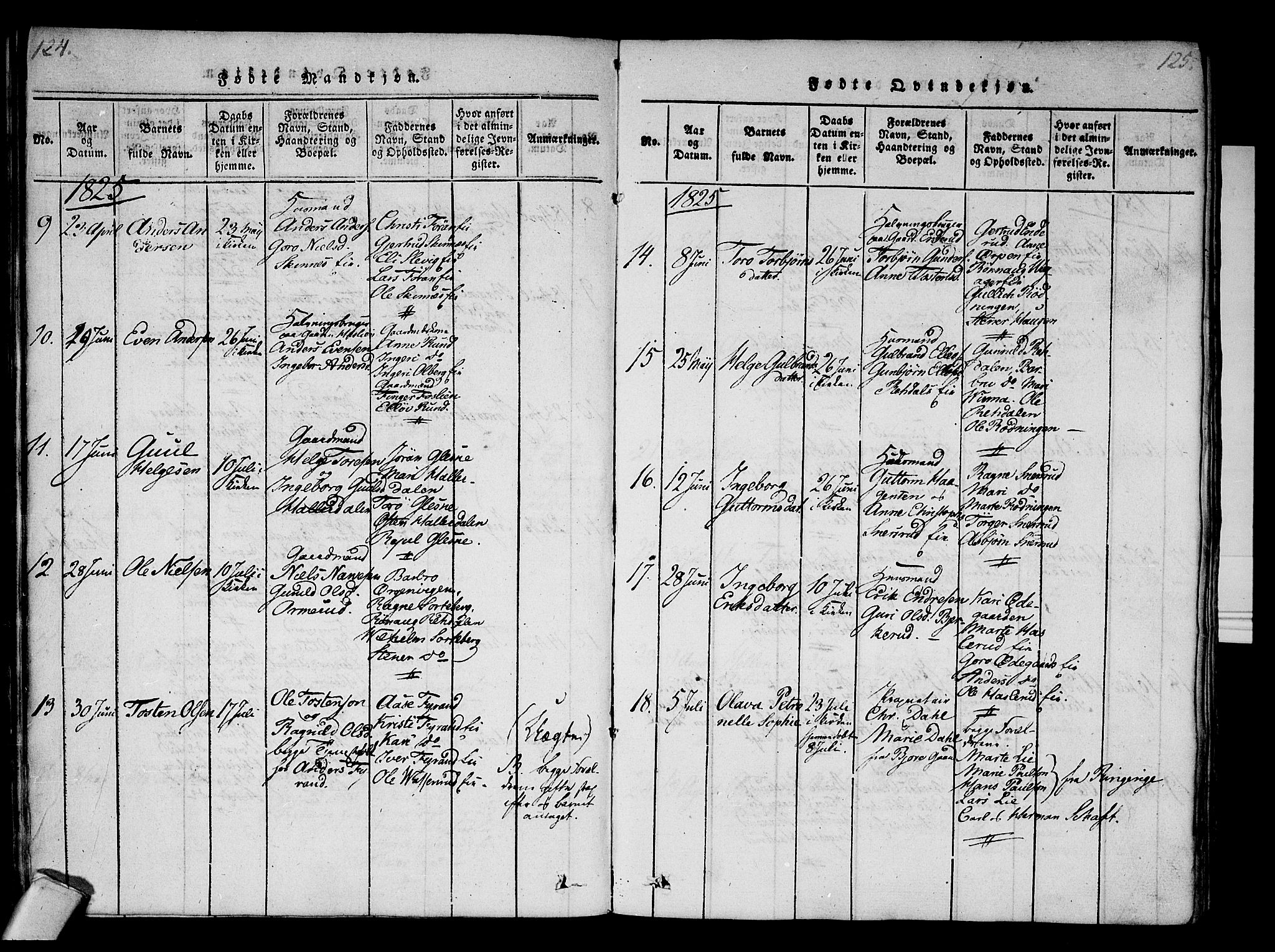 Krødsherad kirkebøker, AV/SAKO-A-19/F/Fa/L0001: Parish register (official) no. 1, 1815-1829, p. 124-125