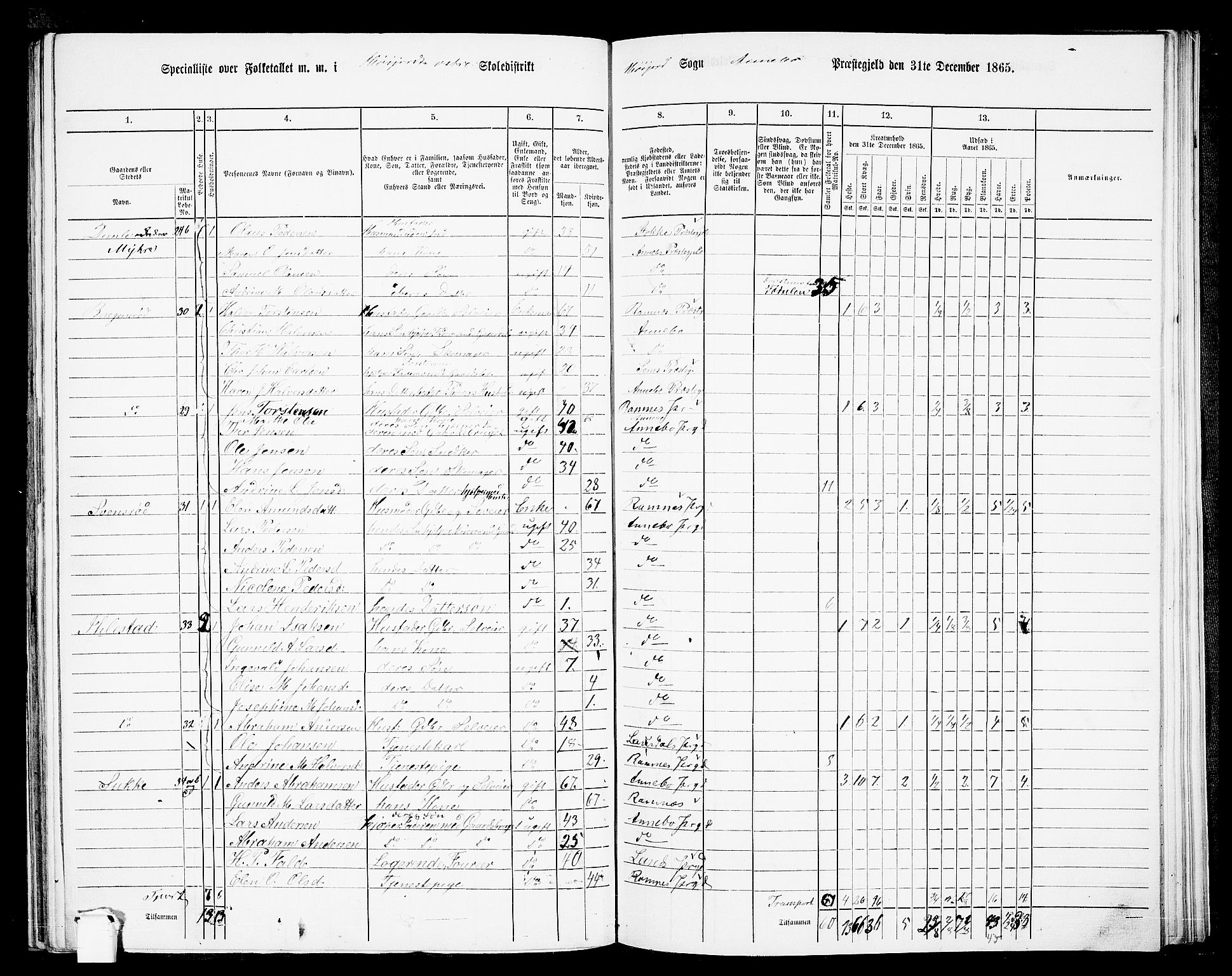 RA, 1865 census for Andebu, 1865, p. 67