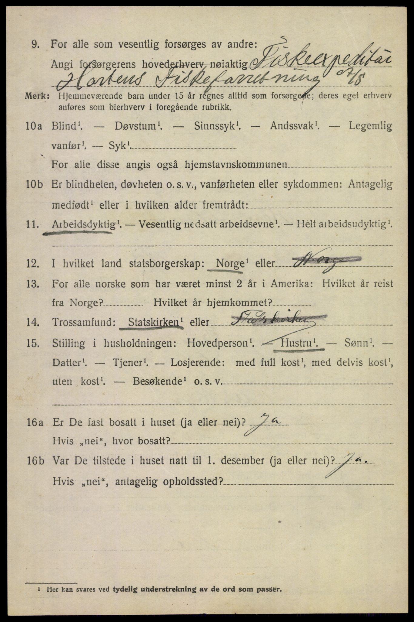 SAKO, 1920 census for Borre, 1920, p. 1419