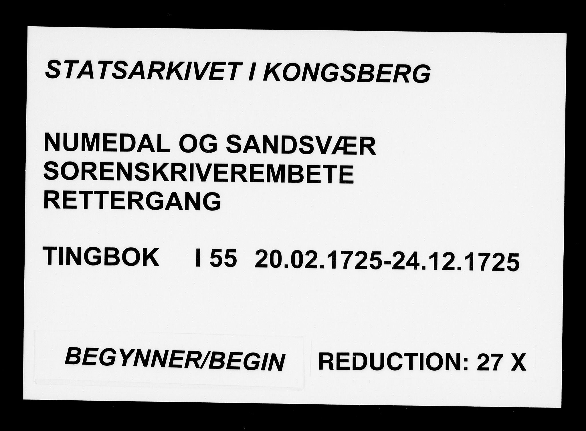 Numedal og Sandsvær sorenskriveri, AV/SAKO-A-128/F/Fa/Faa/L0055: Tingbøker, 1725