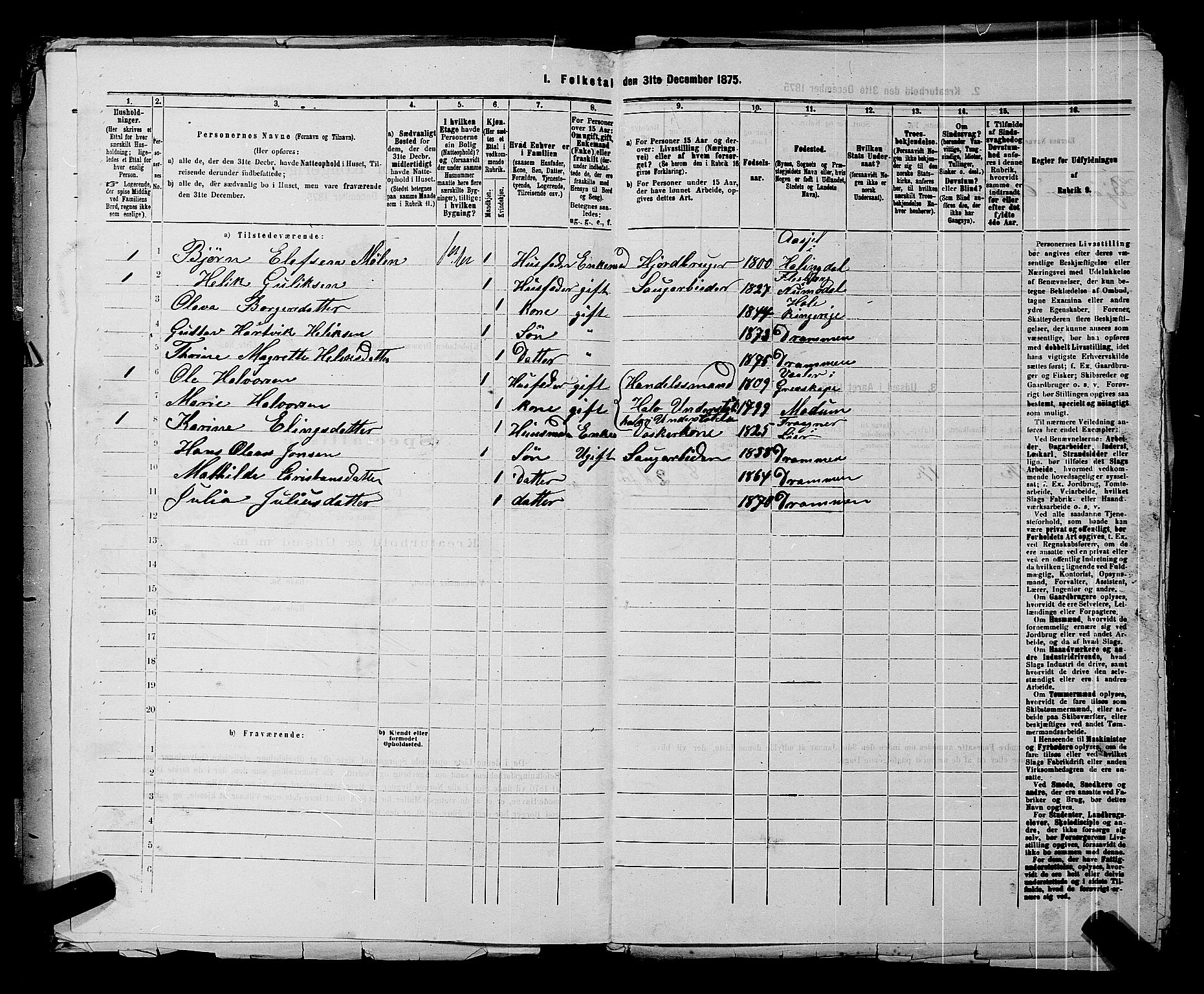 SAKO, 1875 census for 0602 Drammen, 1875, p. 523