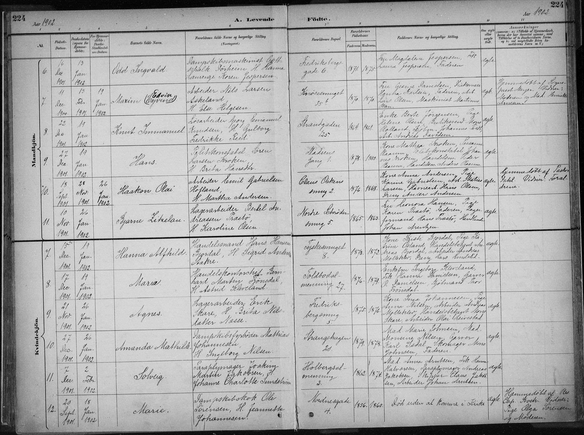 Nykirken Sokneprestembete, AV/SAB-A-77101/H/Haa/L0018: Parish register (official) no. B 6, 1895-1903, p. 224