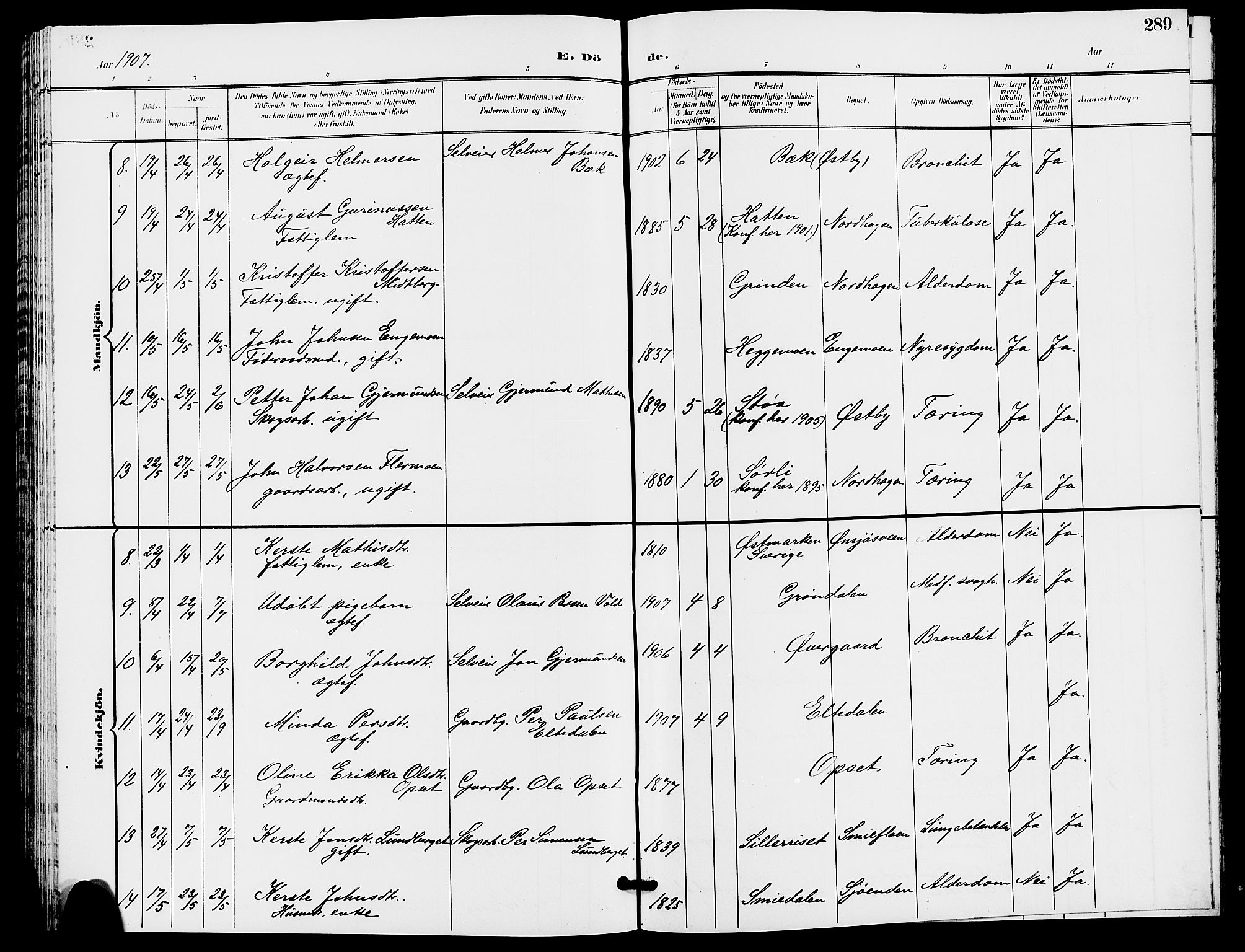 Trysil prestekontor, AV/SAH-PREST-046/H/Ha/Hab/L0006: Parish register (copy) no. 6, 1896-1912, p. 289