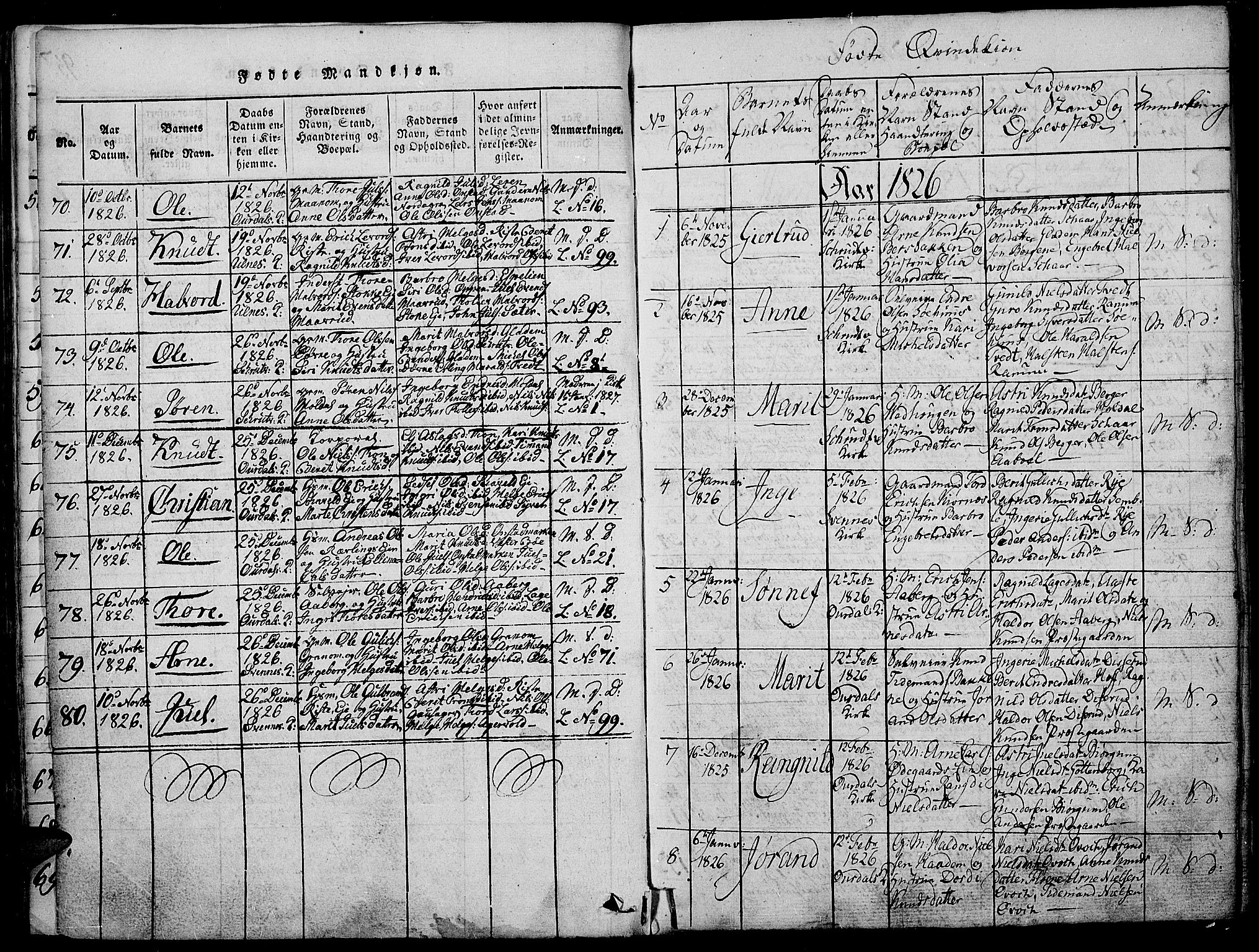 Nord-Aurdal prestekontor, SAH/PREST-132/H/Ha/Haa/L0002: Parish register (official) no. 2, 1816-1828, p. 96a