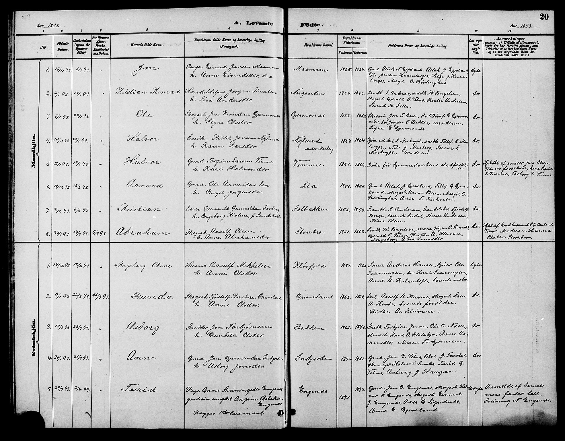 Åmli sokneprestkontor, SAK/1111-0050/F/Fb/Fbc/L0004: Parish register (copy) no. B 4, 1889-1902, p. 20