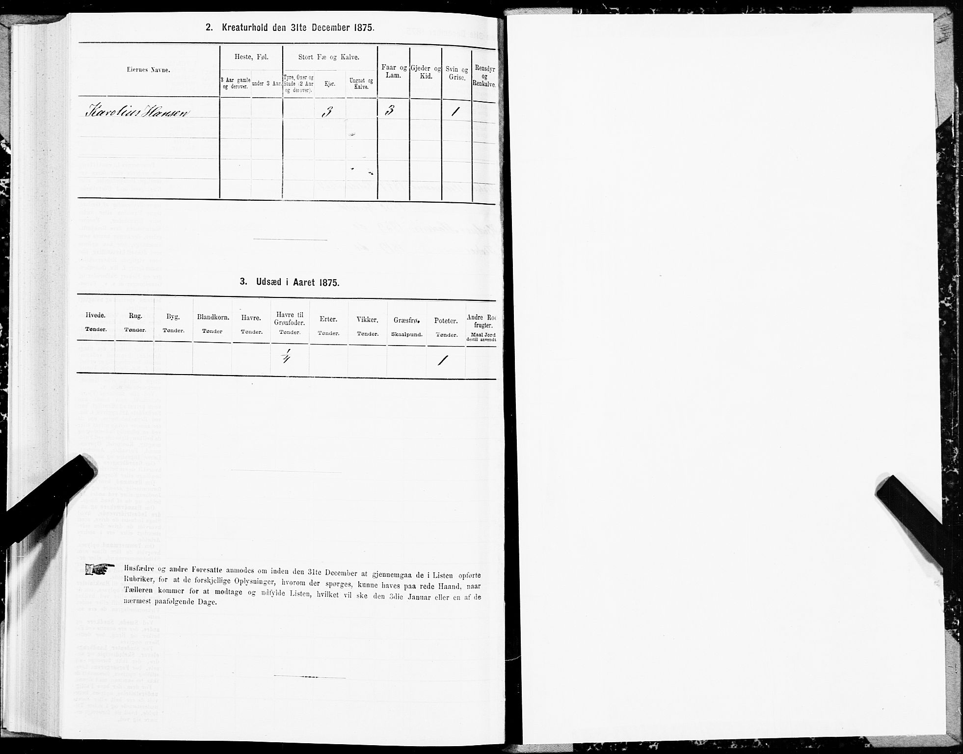 SAT, 1875 census for 1867P Bø, 1875