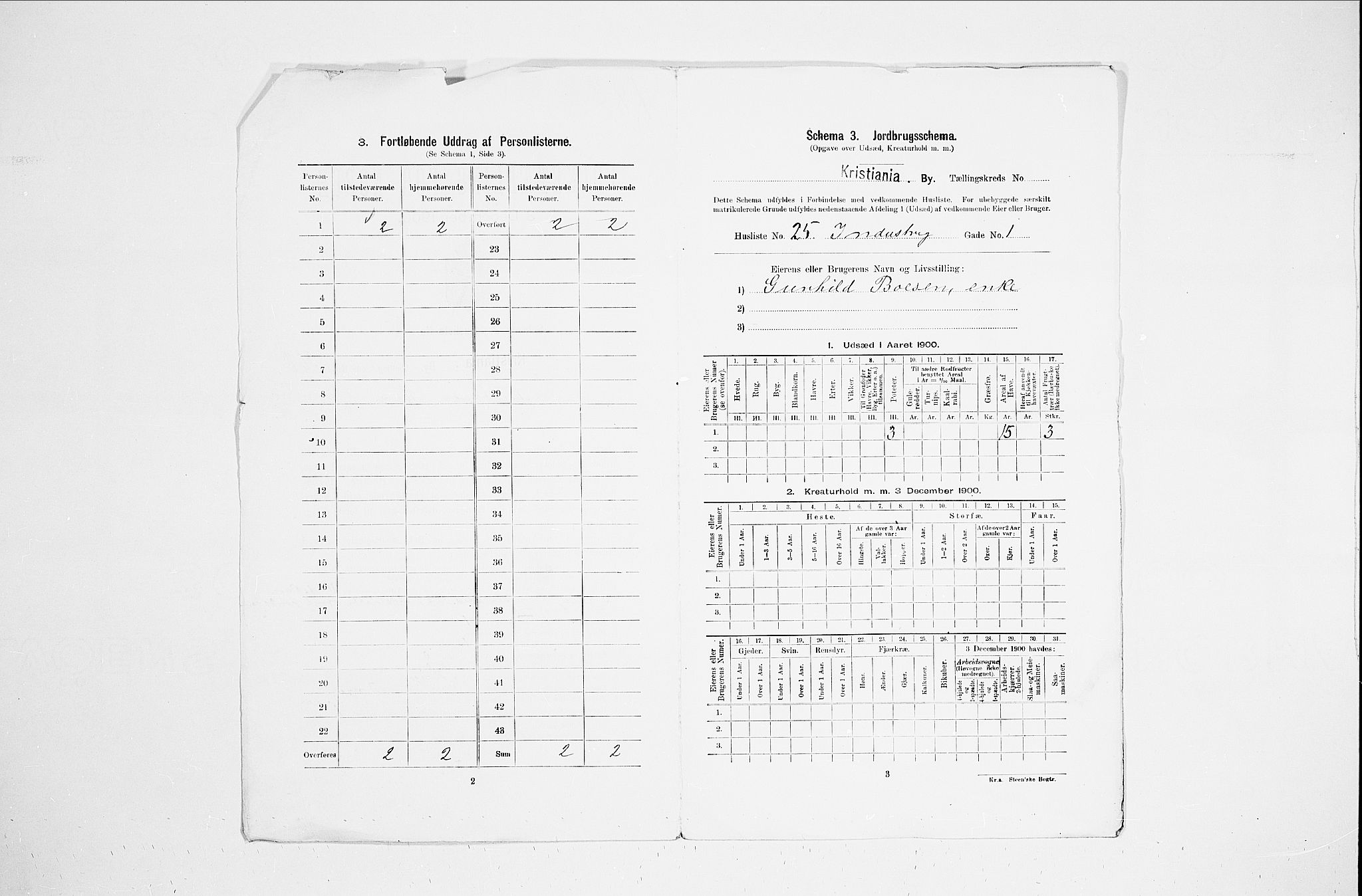 SAO, 1900 census for Kristiania, 1900, p. 40785