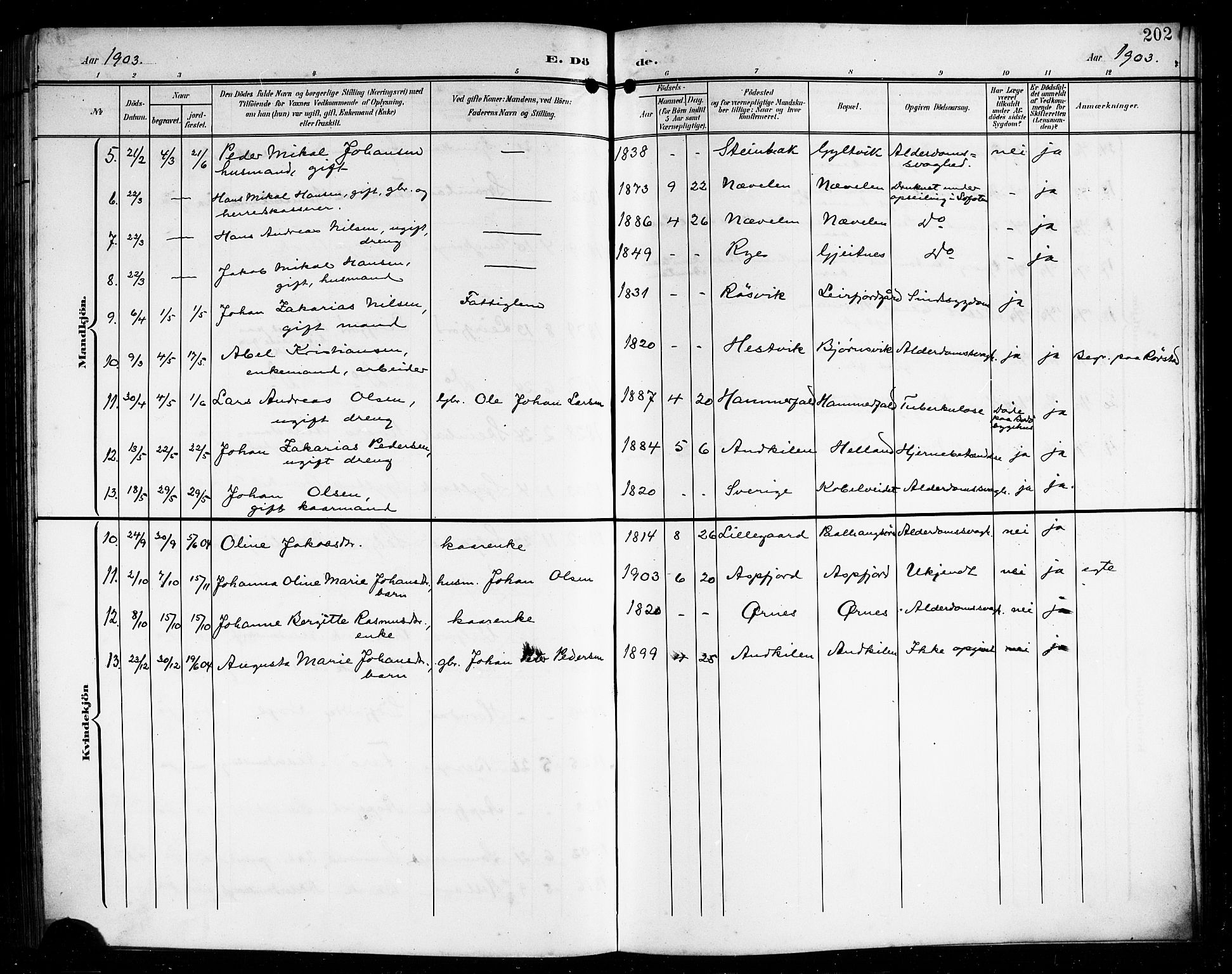 Ministerialprotokoller, klokkerbøker og fødselsregistre - Nordland, AV/SAT-A-1459/854/L0786: Parish register (copy) no. 854C02, 1901-1912, p. 202