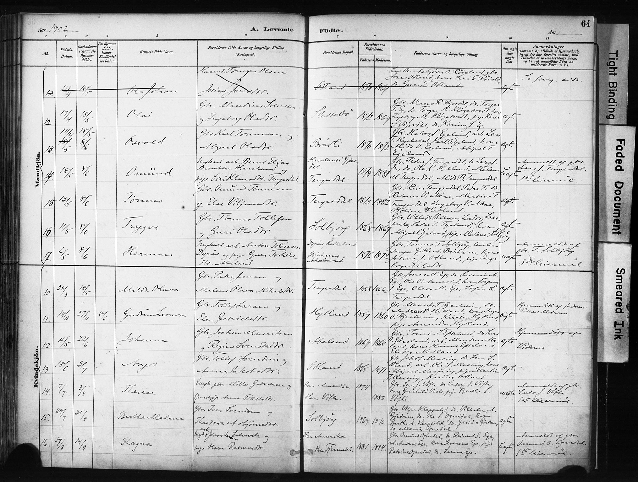 Helleland sokneprestkontor, AV/SAST-A-101810: Parish register (official) no. A 9, 1887-1908, p. 64