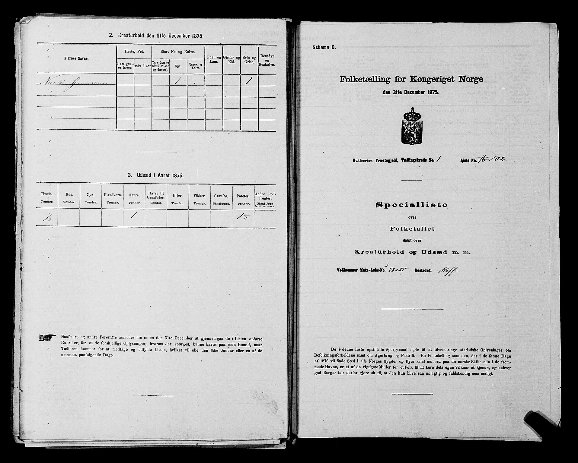 RA, 1875 census for 0111P Hvaler, 1875, p. 243