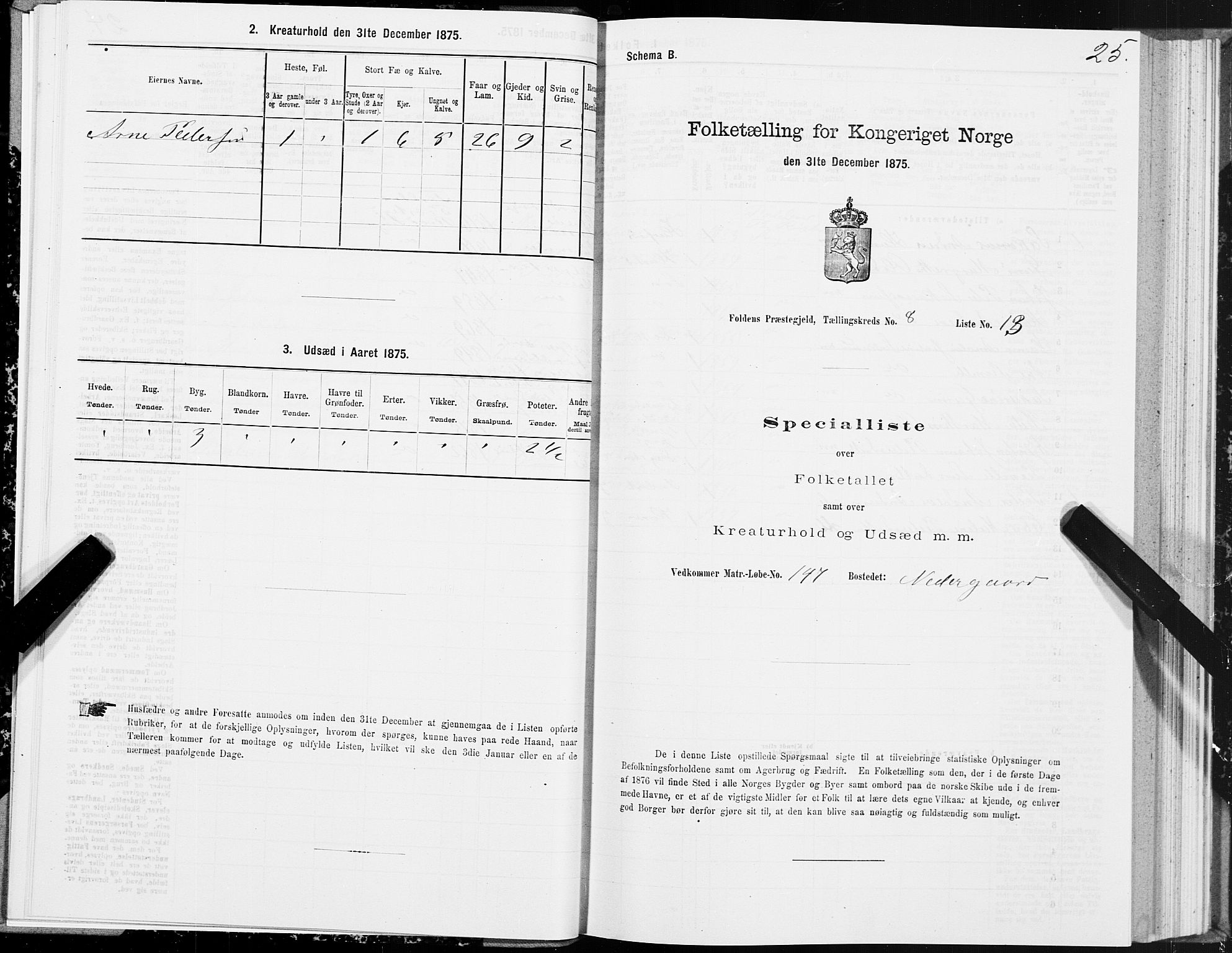 SAT, 1875 census for 1845P Folda, 1875, p. 3025