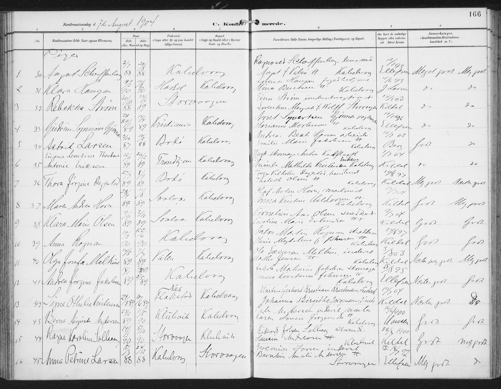 Ministerialprotokoller, klokkerbøker og fødselsregistre - Nordland, AV/SAT-A-1459/874/L1062: Parish register (official) no. 874A06, 1899-1907, p. 166