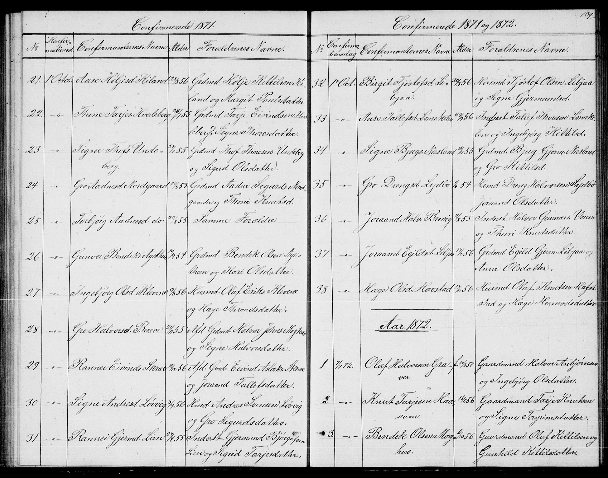 Fyresdal kirkebøker, SAKO/A-263/G/Ga/L0004: Parish register (copy) no. I 4, 1864-1892, p. 109