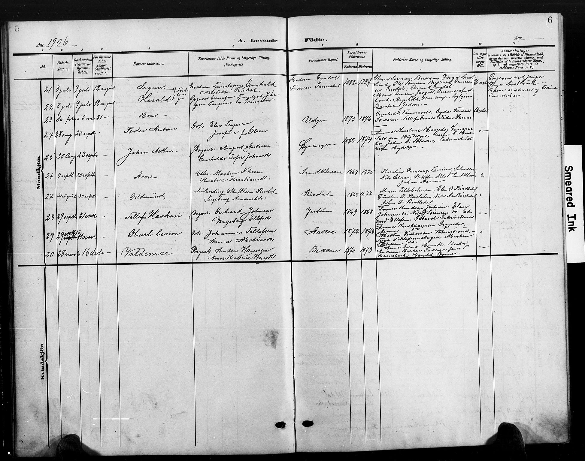 Hommedal sokneprestkontor, AV/SAK-1111-0023/F/Fb/Fbb/L0008: Parish register (copy) no. B 8, 1905-1929, p. 6