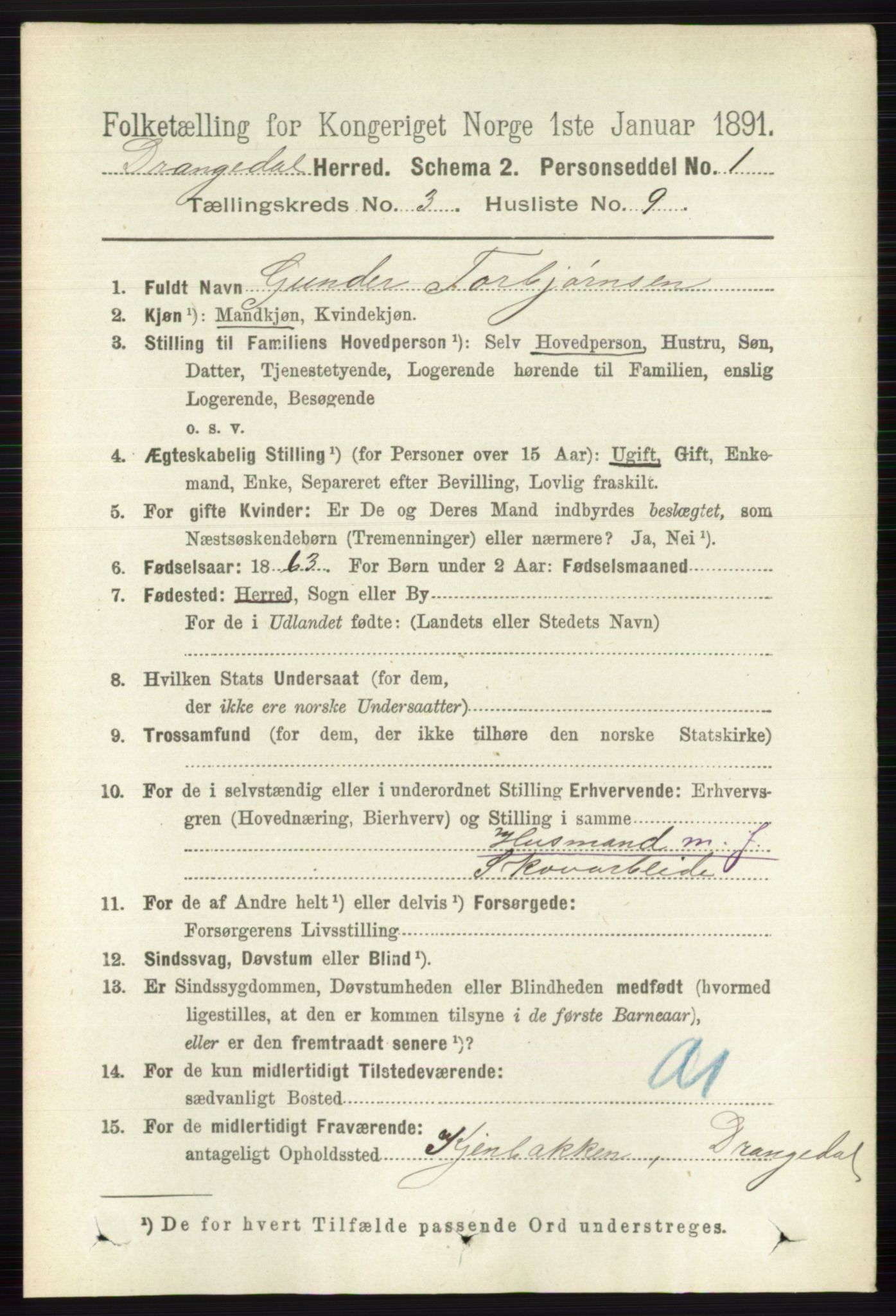 RA, 1891 census for 0817 Drangedal, 1891, p. 919