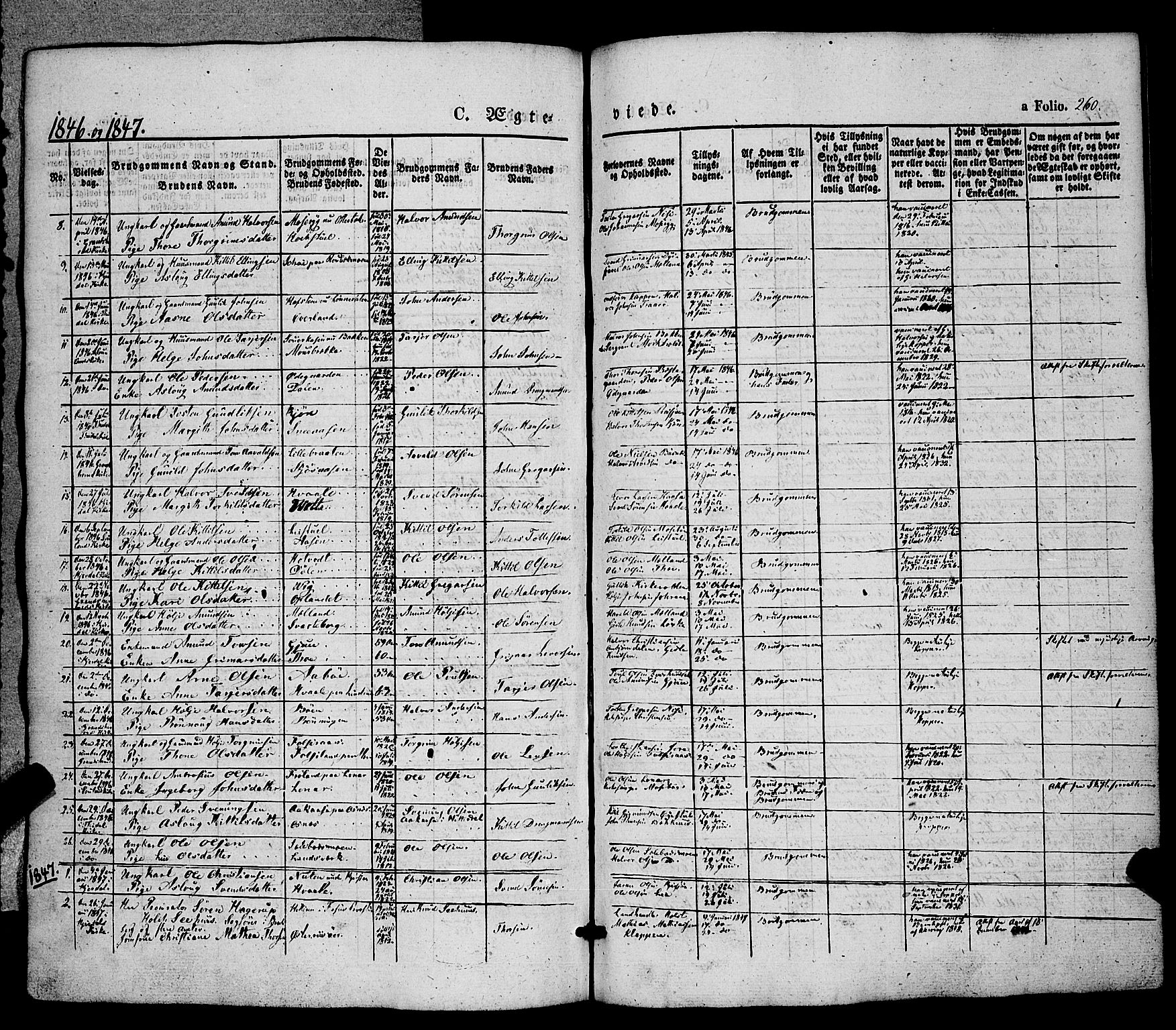 Hjartdal kirkebøker, SAKO/A-270/F/Fa/L0008: Parish register (official) no. I 8, 1844-1859, p. 260
