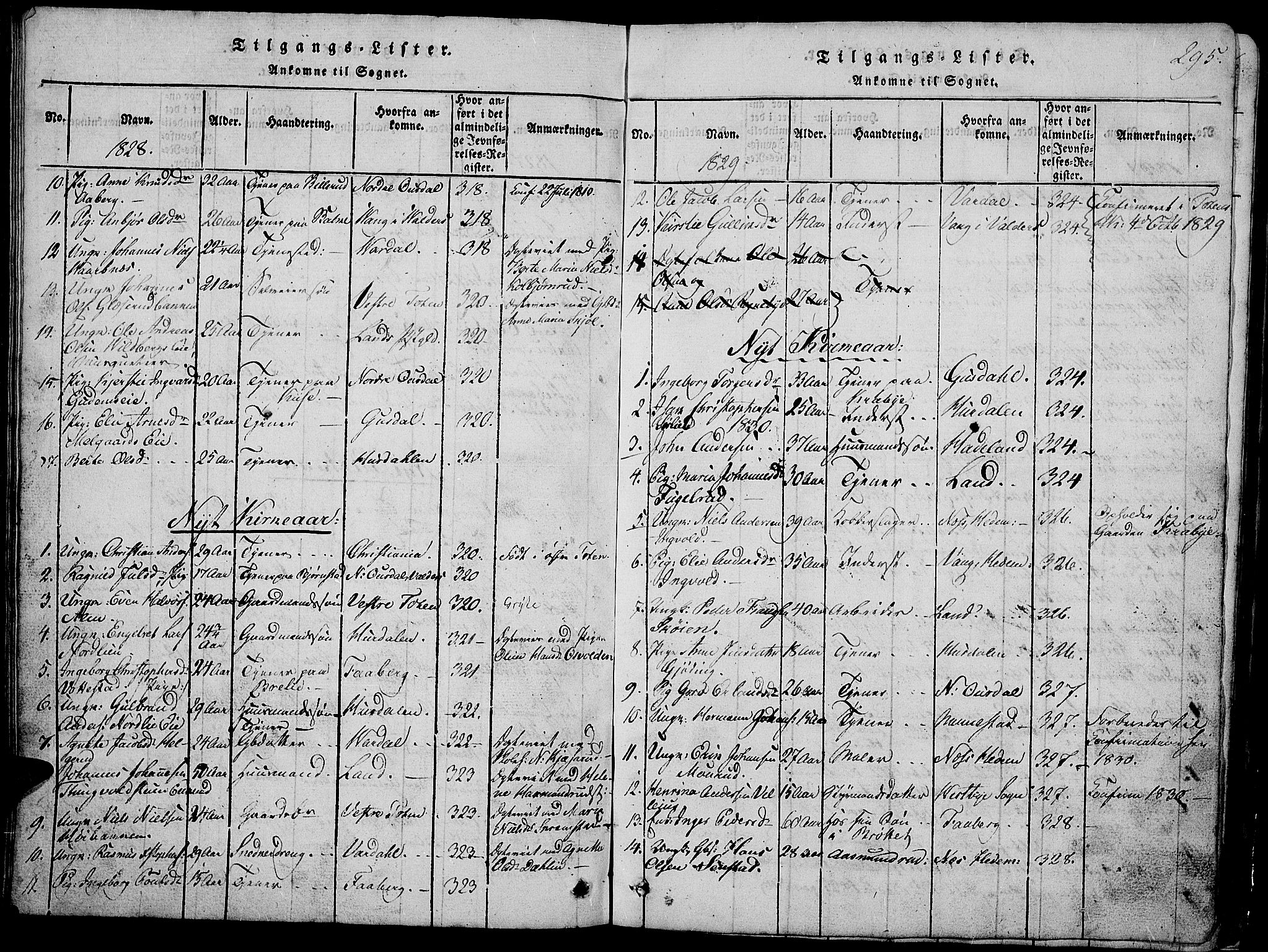 Østre Toten prestekontor, SAH/PREST-104/H/Ha/Hab/L0001: Parish register (copy) no. 1, 1827-1839, p. 295