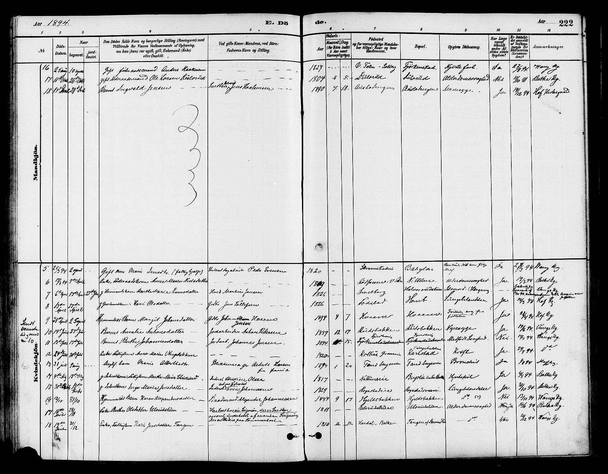 Østre Toten prestekontor, SAH/PREST-104/H/Ha/Haa/L0007: Parish register (official) no. 7, 1881-1896, p. 222