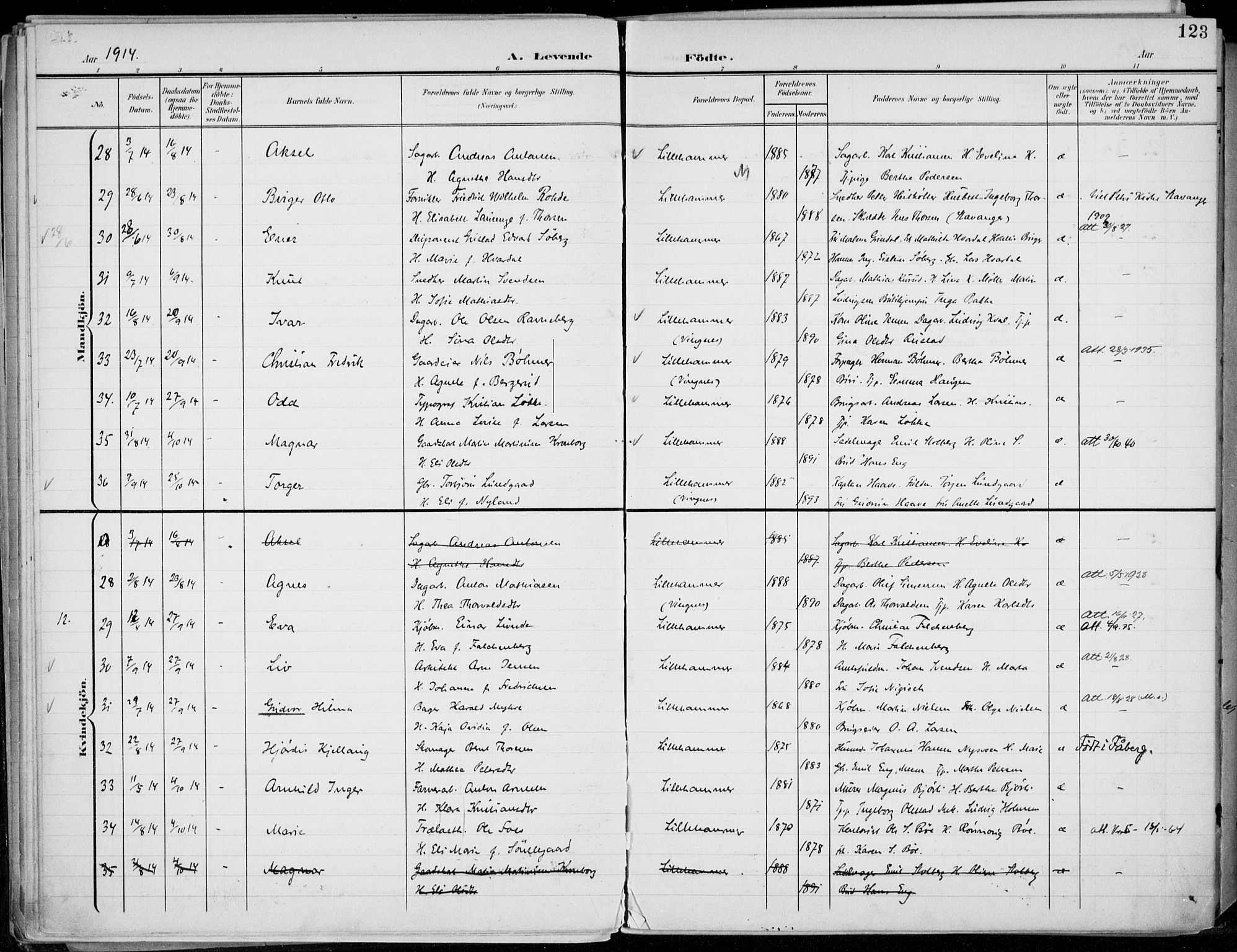 Lillehammer prestekontor, AV/SAH-PREST-088/H/Ha/Haa/L0001: Parish register (official) no. 1, 1901-1916, p. 123