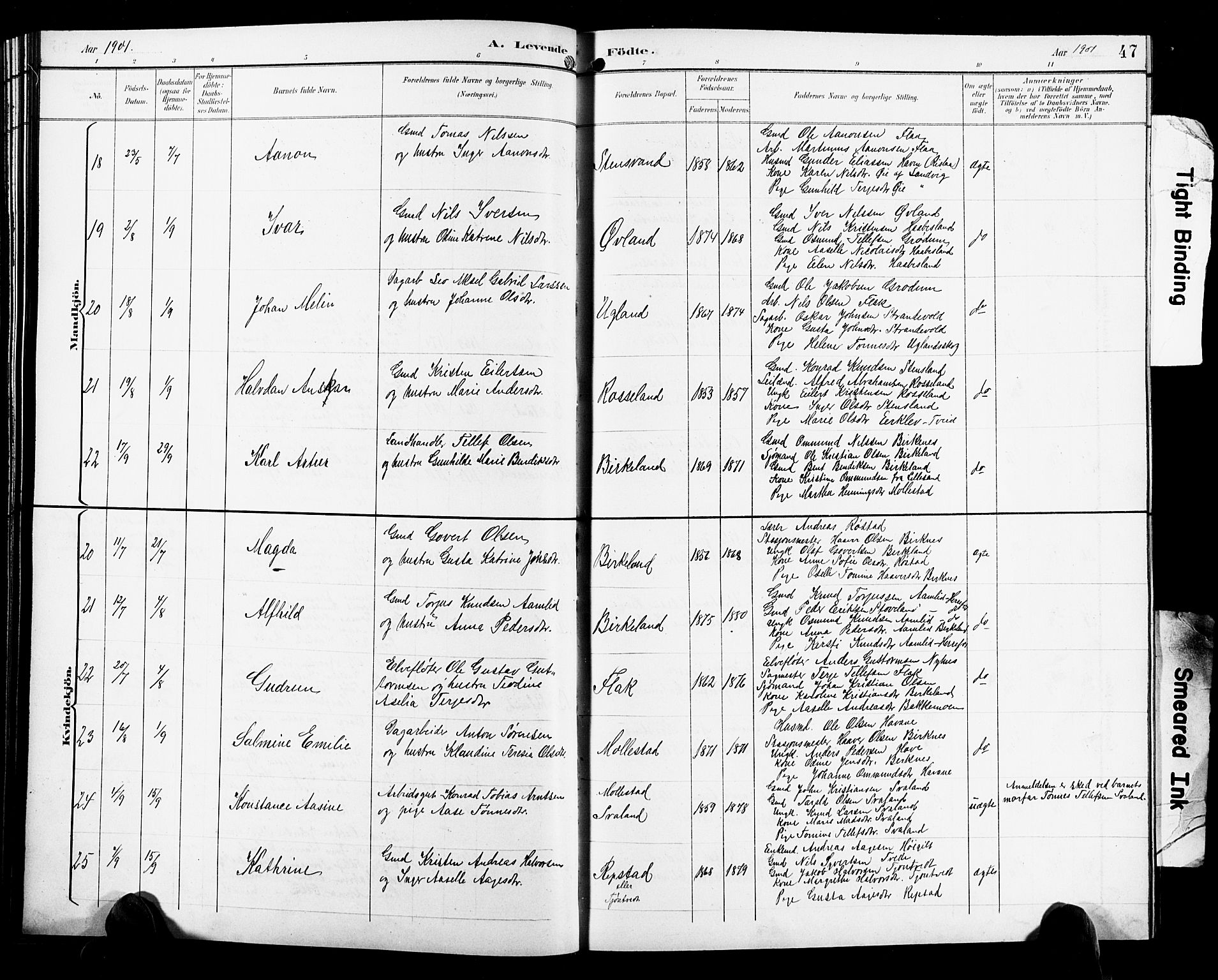 Birkenes sokneprestkontor, SAK/1111-0004/F/Fb/L0004: Parish register (copy) no. B 4, 1893-1930, p. 47