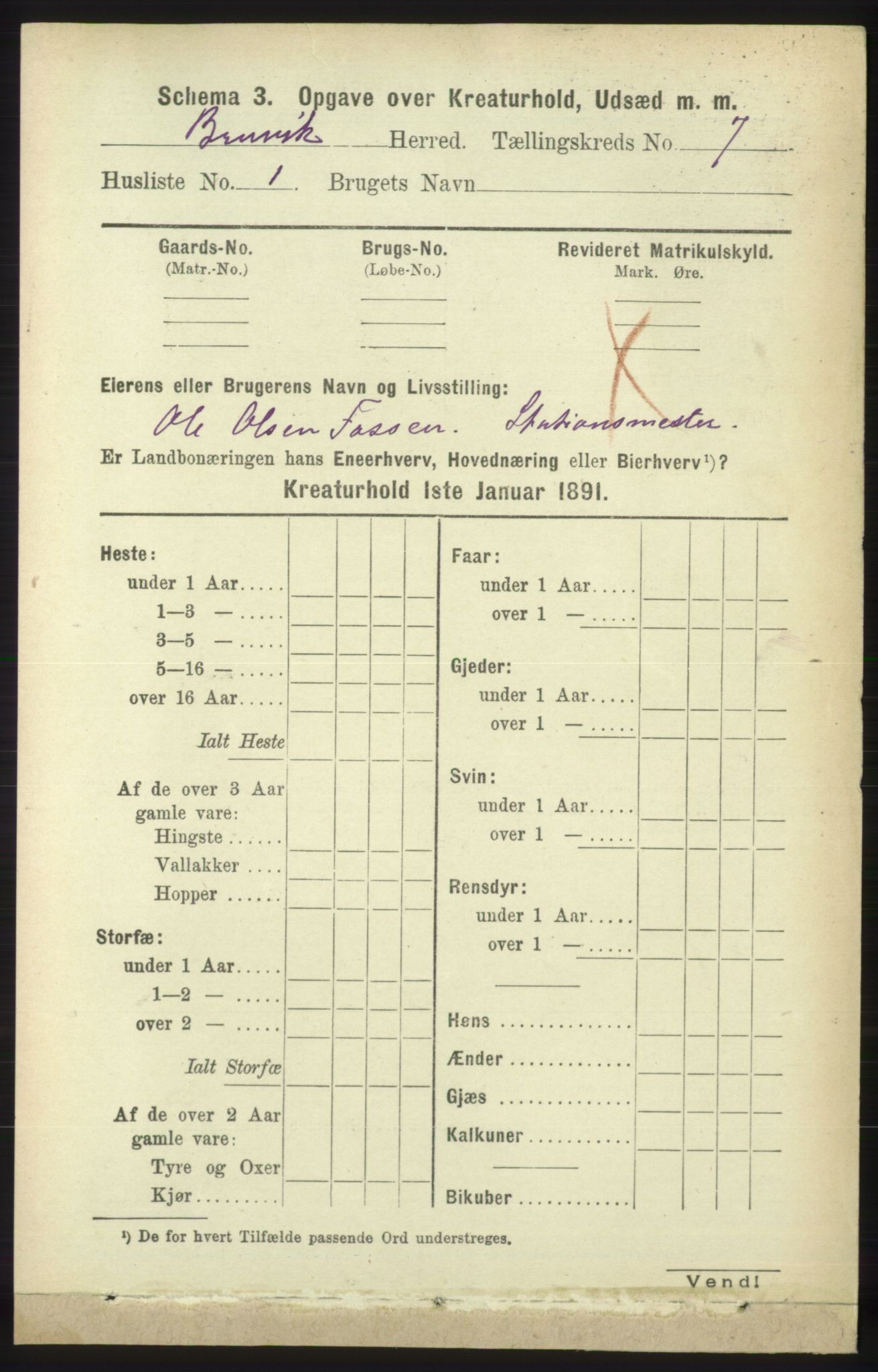 RA, 1891 census for 1251 Bruvik, 1891, p. 4629