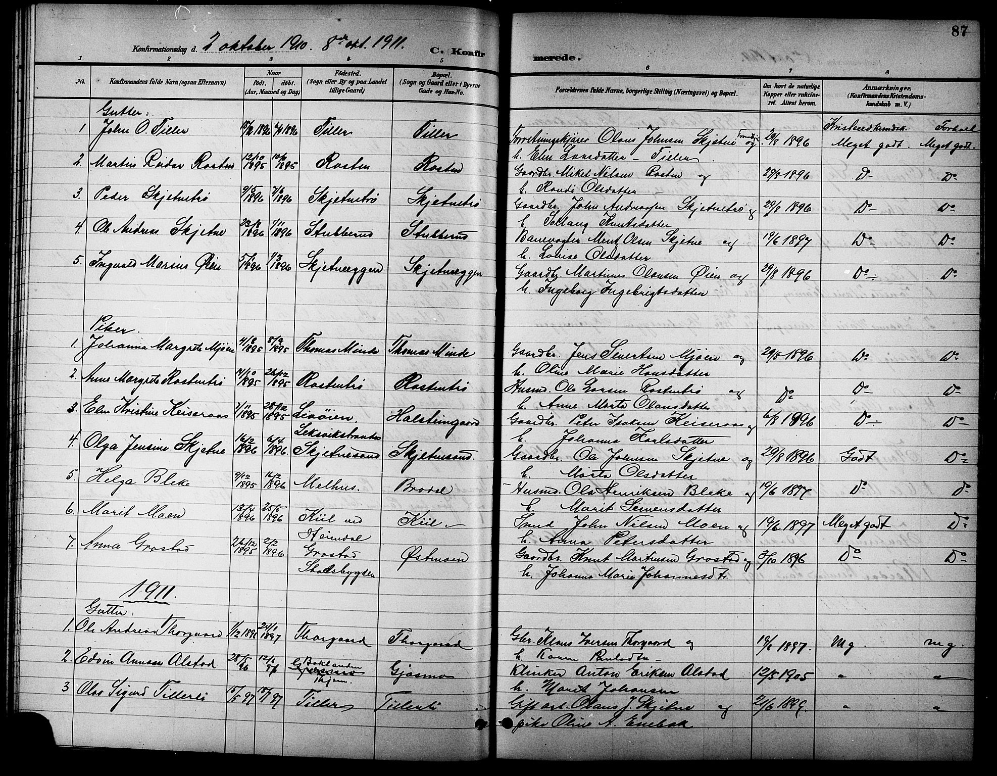 Ministerialprotokoller, klokkerbøker og fødselsregistre - Sør-Trøndelag, SAT/A-1456/621/L0460: Parish register (copy) no. 621C03, 1896-1914, p. 87