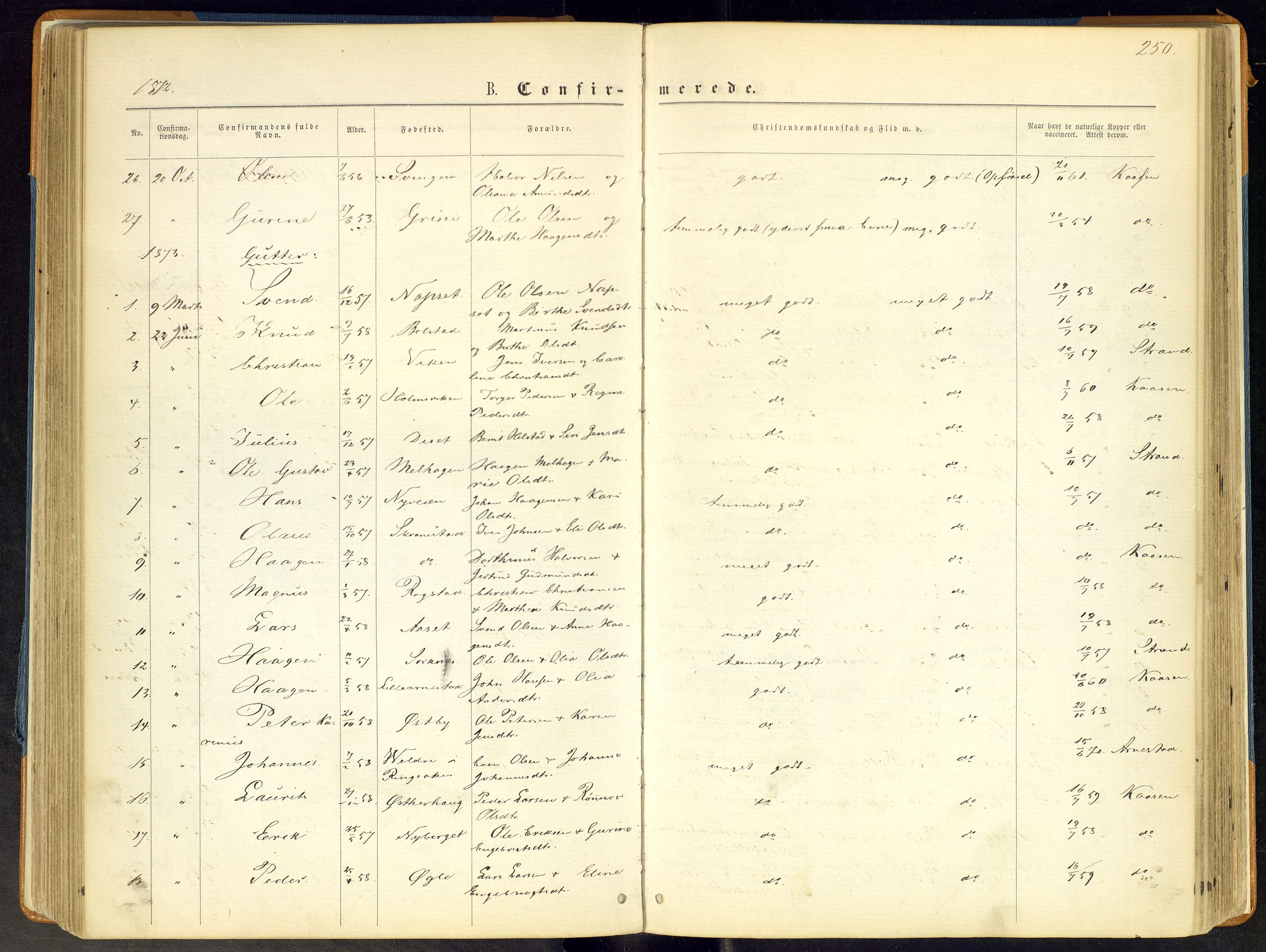 Åmot prestekontor, Hedmark, SAH/PREST-056/H/Ha/Haa/L0008: Parish register (official) no. 8, 1862-1875, p. 250