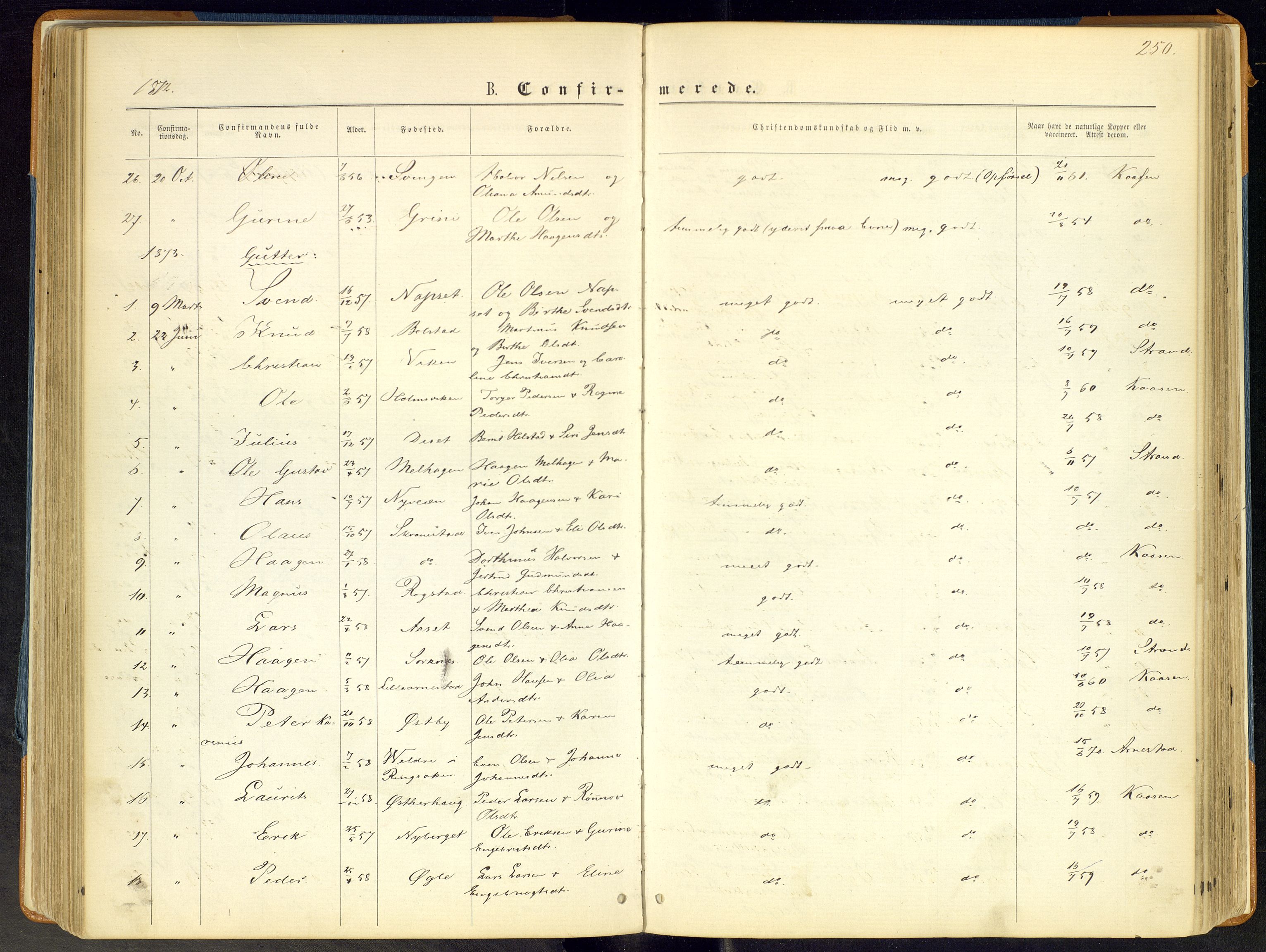 Åmot prestekontor, Hedmark, AV/SAH-PREST-056/H/Ha/Haa/L0008: Parish register (official) no. 8, 1862-1875, p. 250