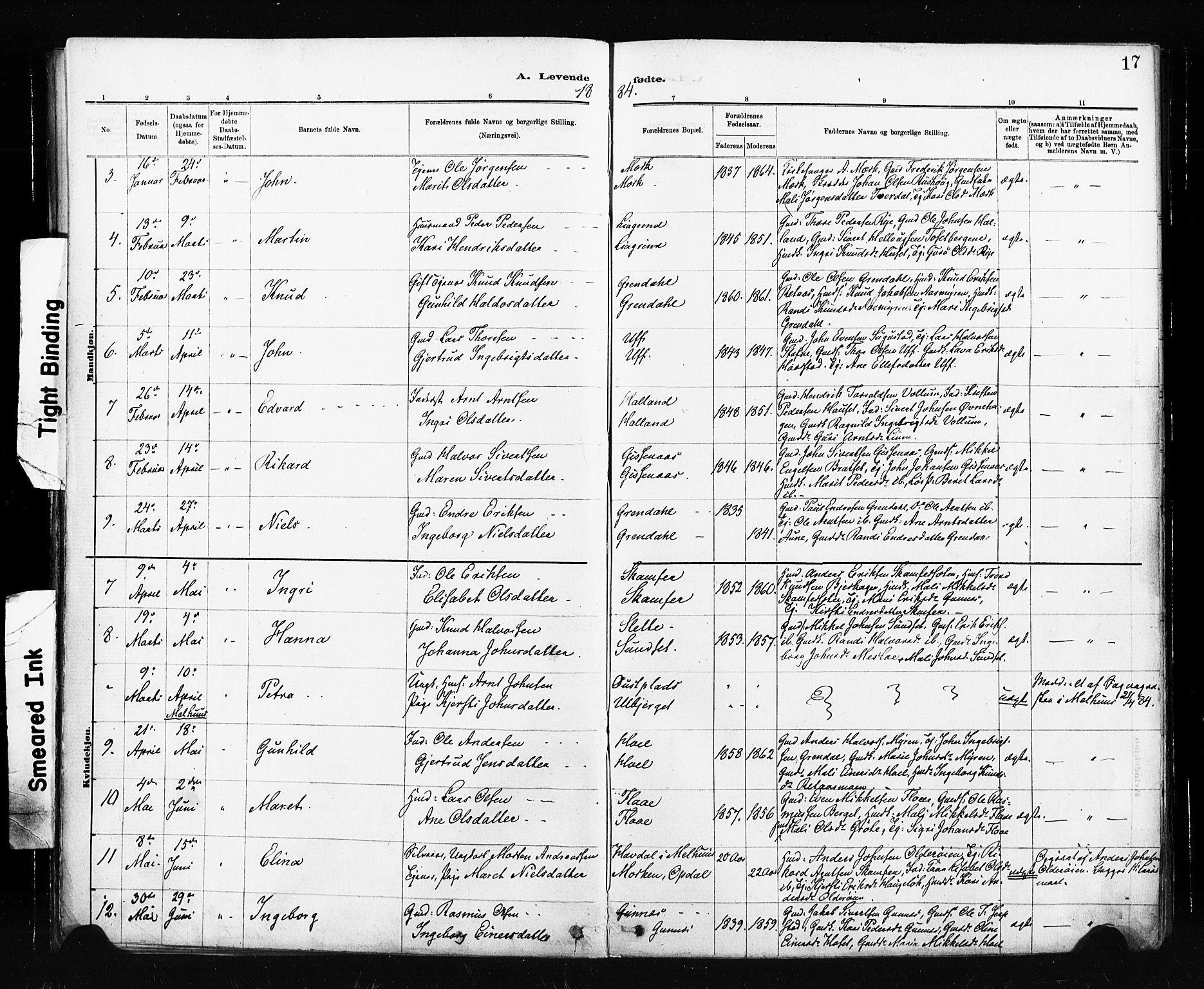 Ministerialprotokoller, klokkerbøker og fødselsregistre - Sør-Trøndelag, SAT/A-1456/674/L0871: Parish register (official) no. 674A03, 1880-1896, p. 17