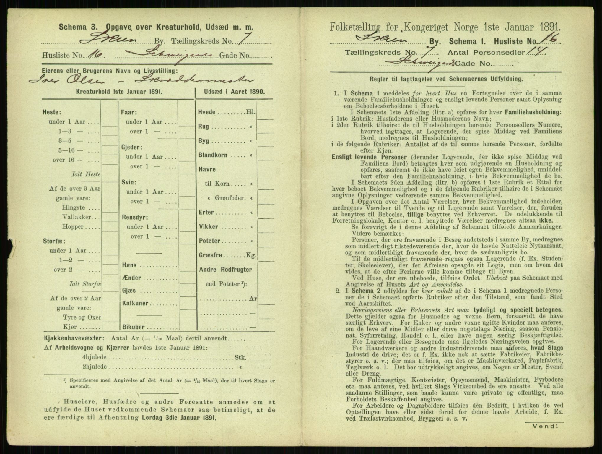 RA, 1891 census for 0806 Skien, 1891, p. 338