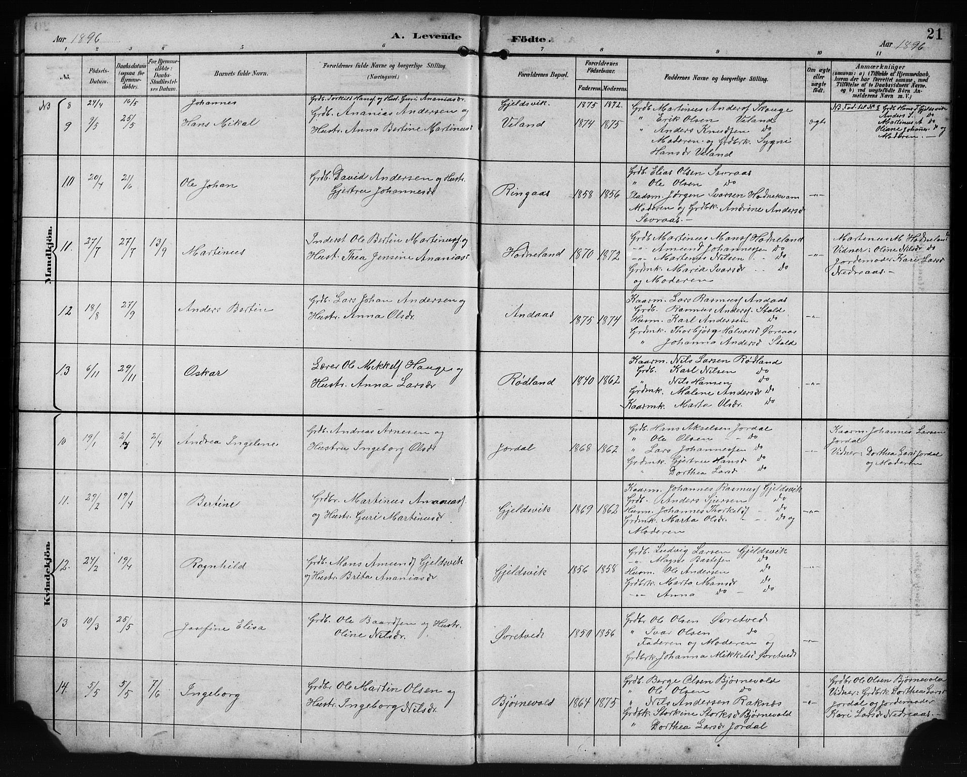 Lindås Sokneprestembete, AV/SAB-A-76701/H/Hab/Habe/L0003: Parish register (copy) no. E 3, 1892-1905, p. 21