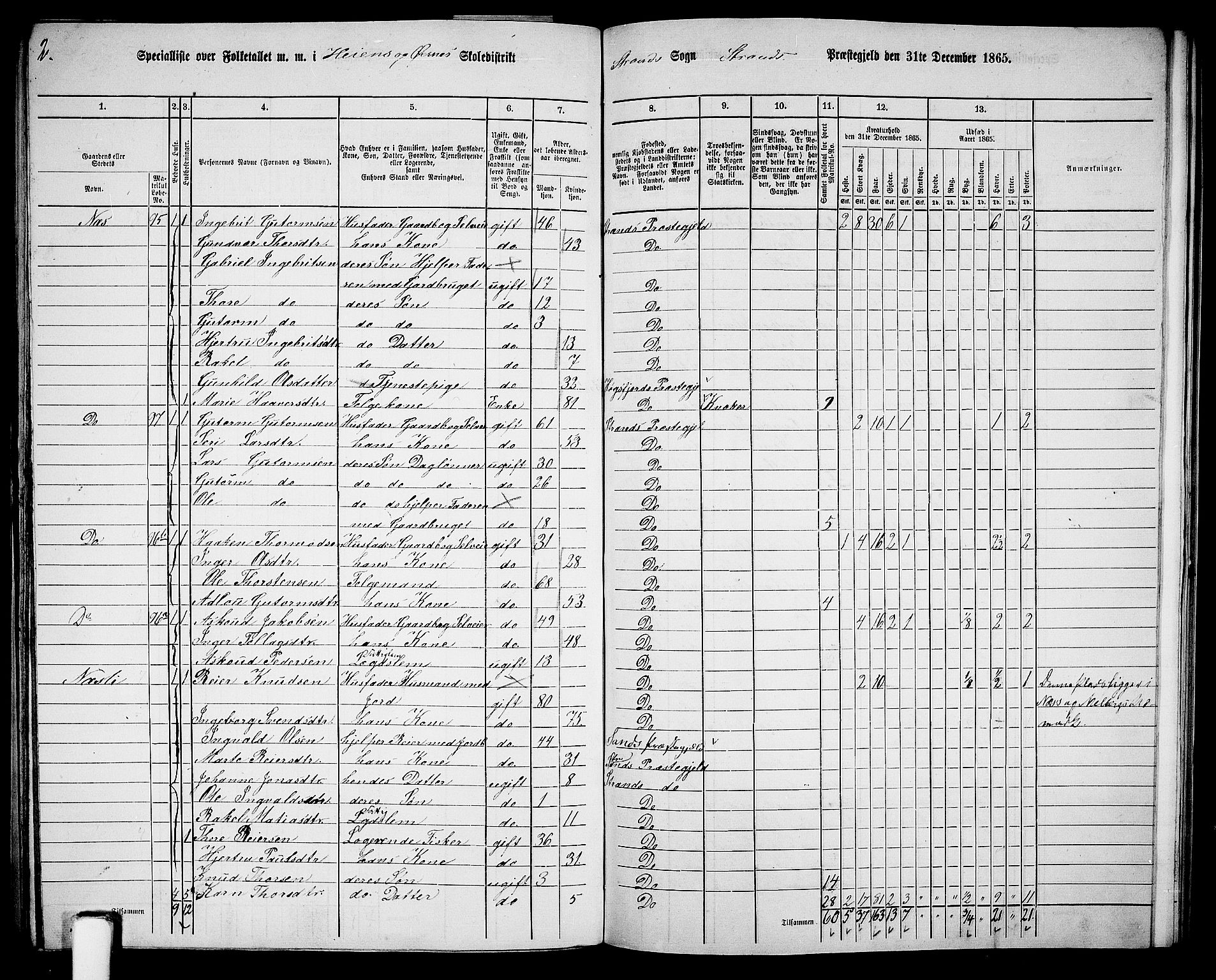 RA, 1865 census for Strand, 1865, p. 58