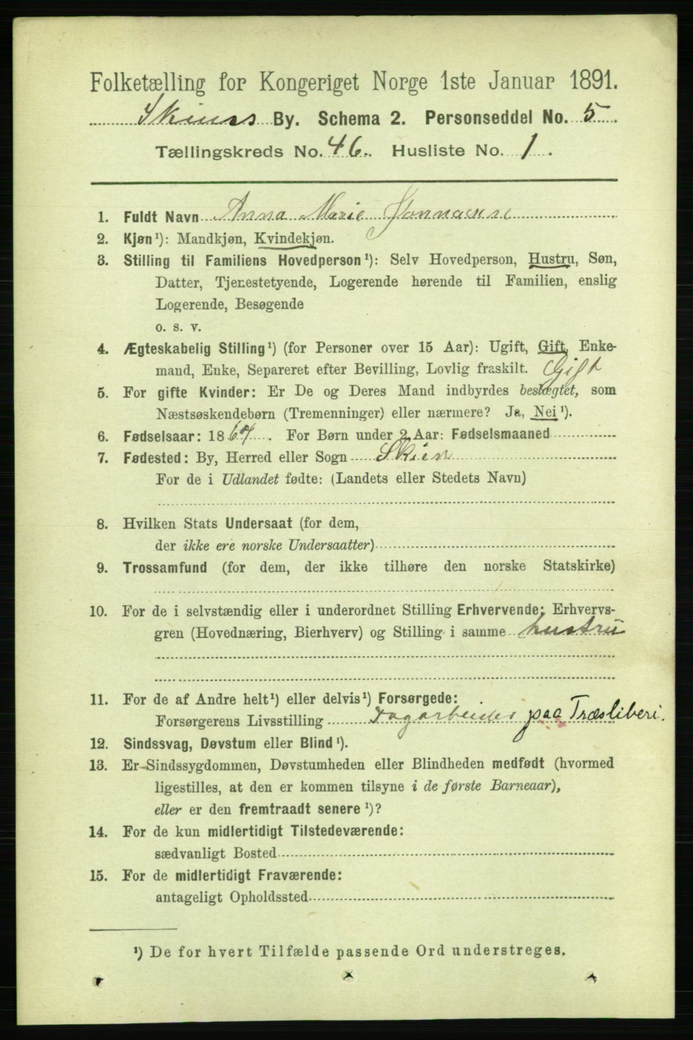 RA, 1891 census for 0806 Skien, 1891, p. 9141