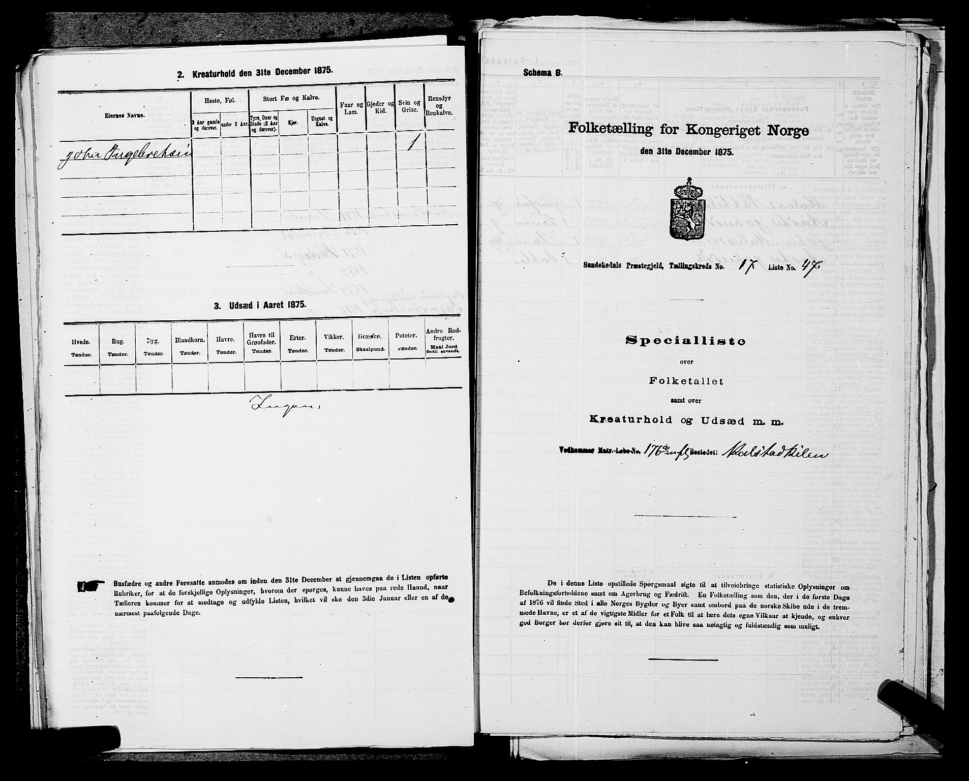 SAKO, 1875 census for 0816P Sannidal, 1875, p. 1410