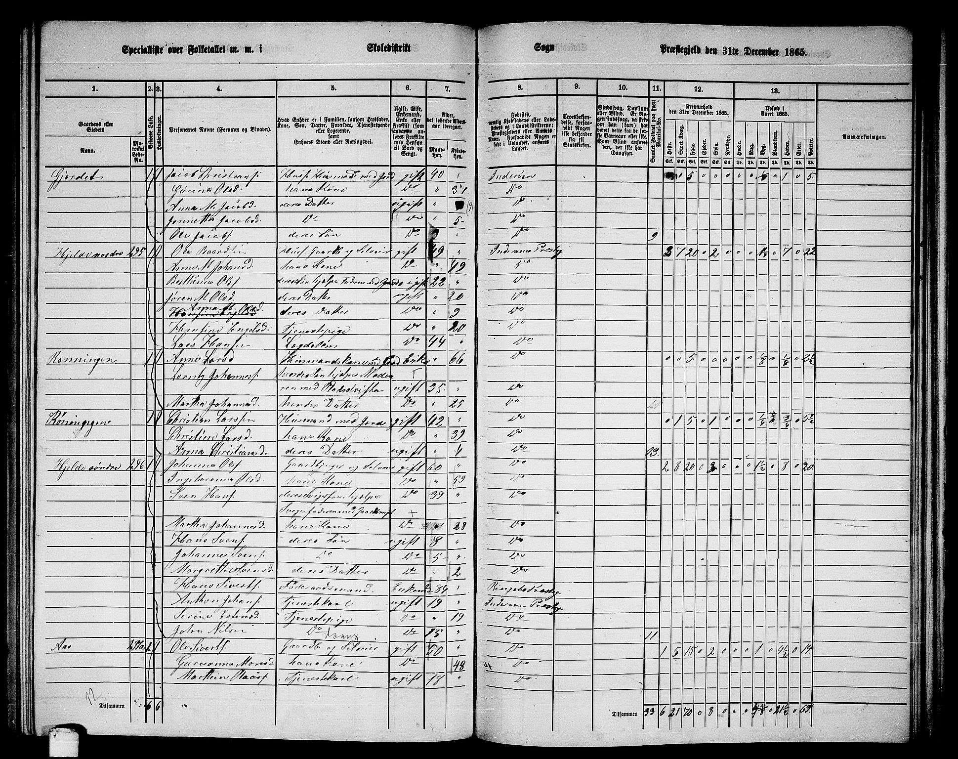 RA, 1865 census for Inderøy, 1865, p. 174