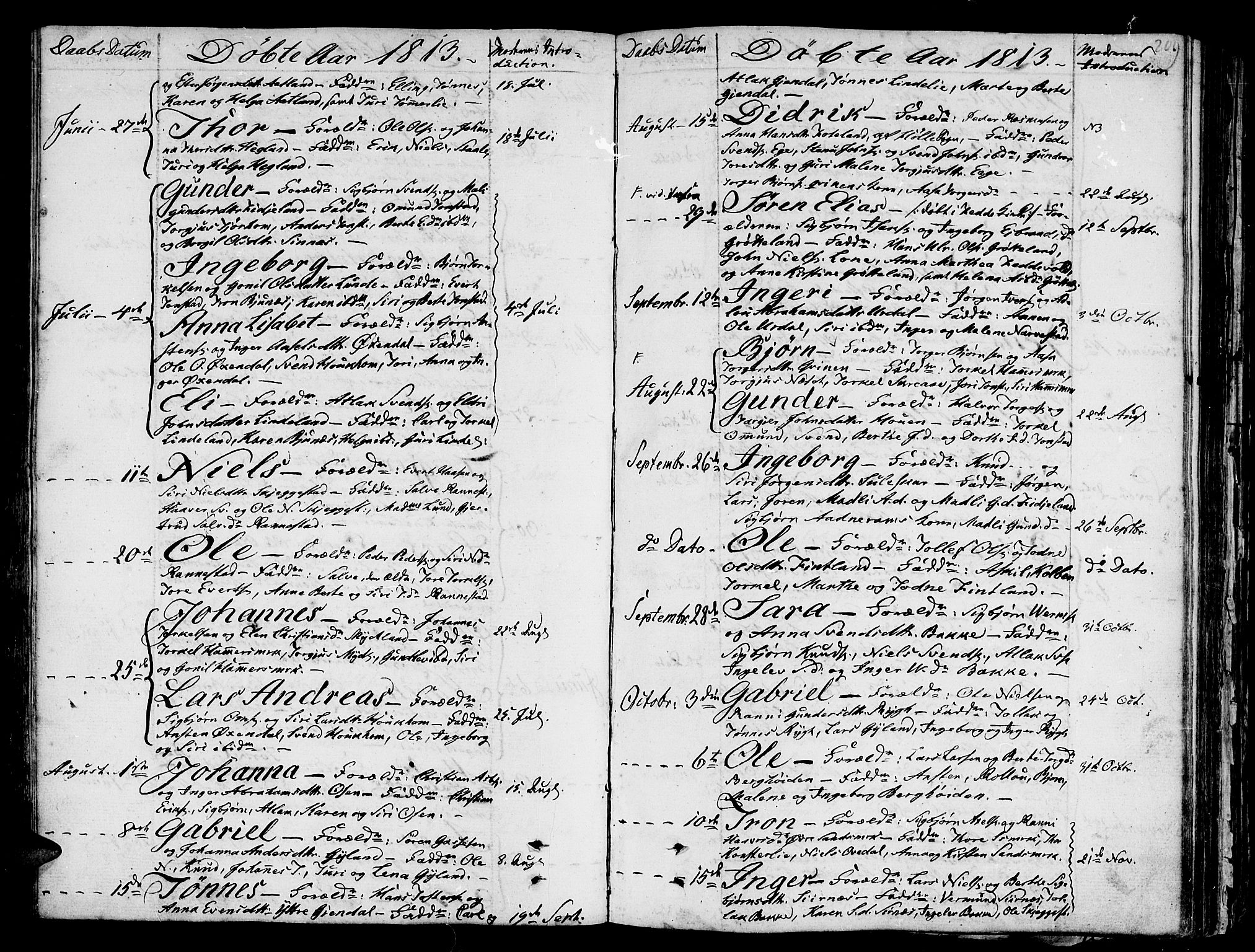 Bakke sokneprestkontor, SAK/1111-0002/F/Fa/Faa/L0002: Parish register (official) no. A 2, 1780-1816, p. 209