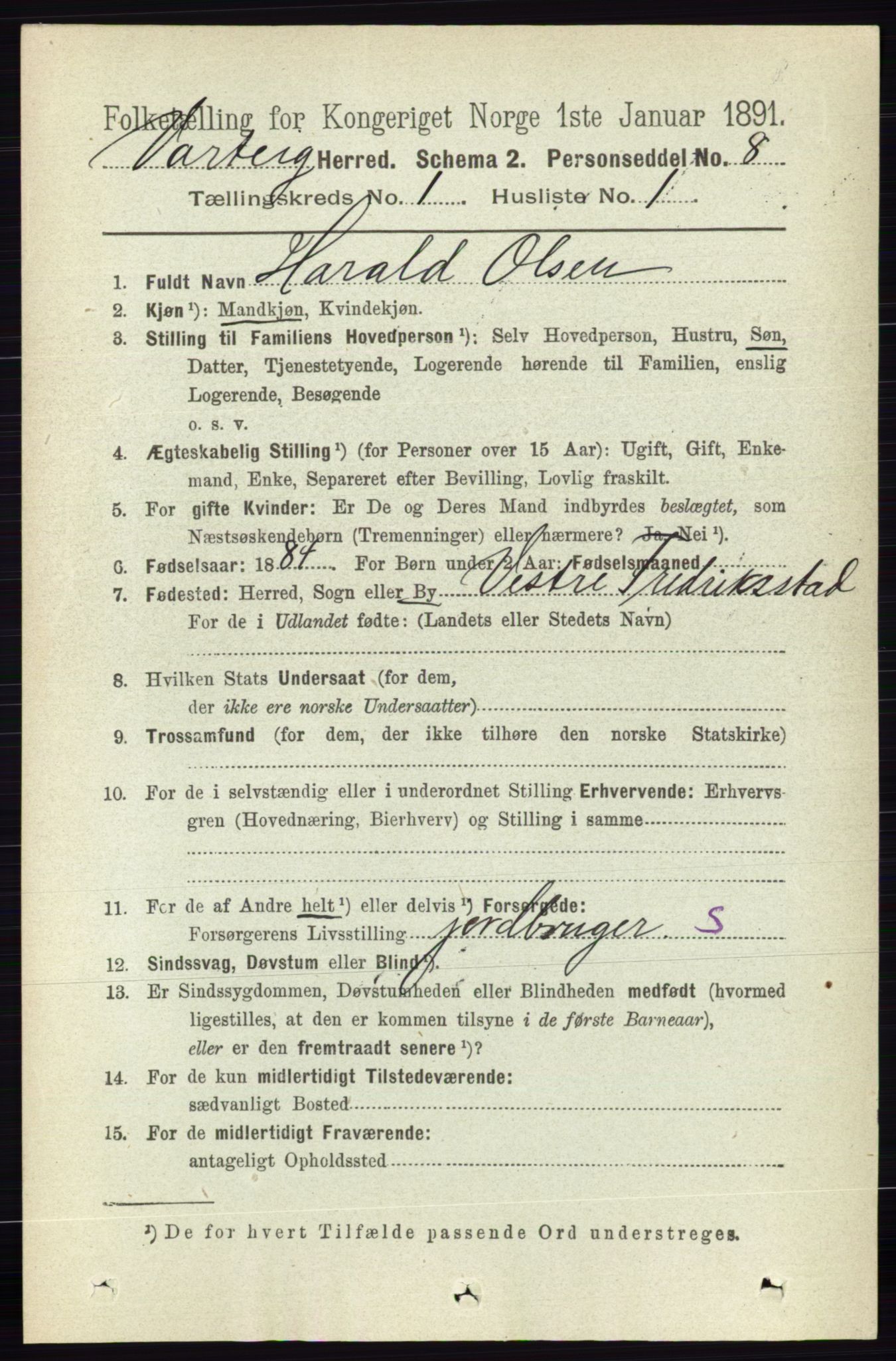 RA, 1891 census for 0114 Varteig, 1891, p. 100