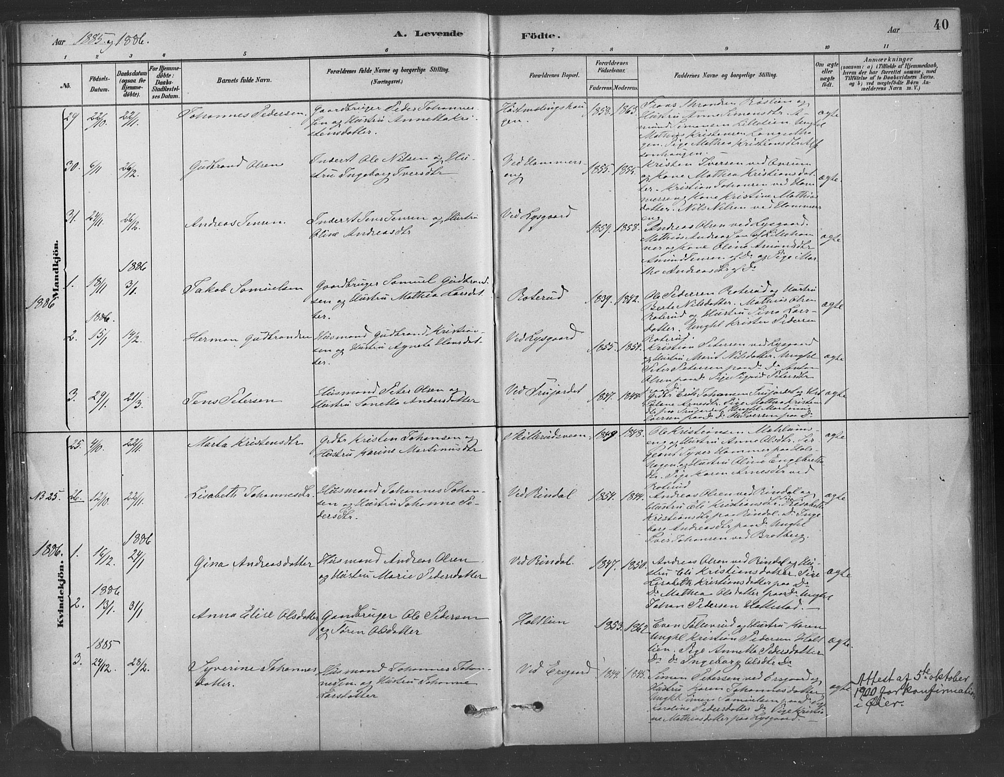 Fåberg prestekontor, SAH/PREST-086/H/Ha/Haa/L0009: Parish register (official) no. 9, 1879-1898, p. 40